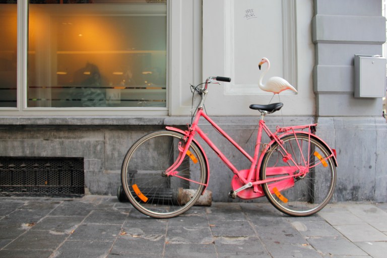 flamingo bike pink warm light street