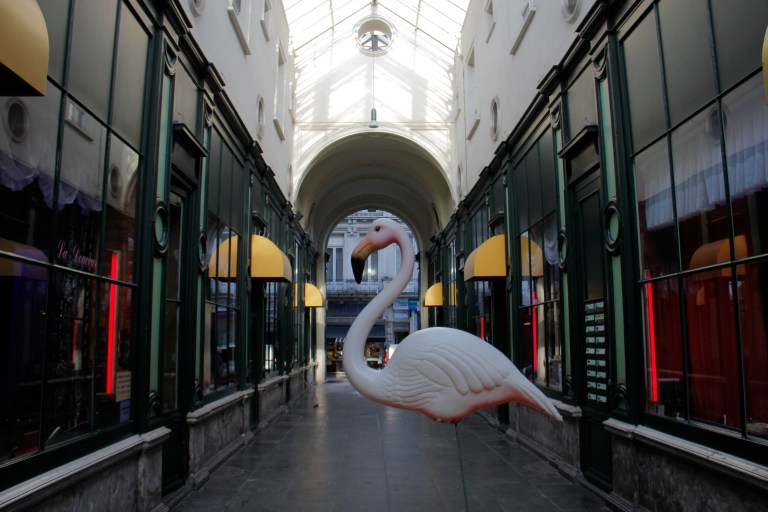 flamingo prostitutes Pieter Vanderdoncktdoorgang Ghent pink