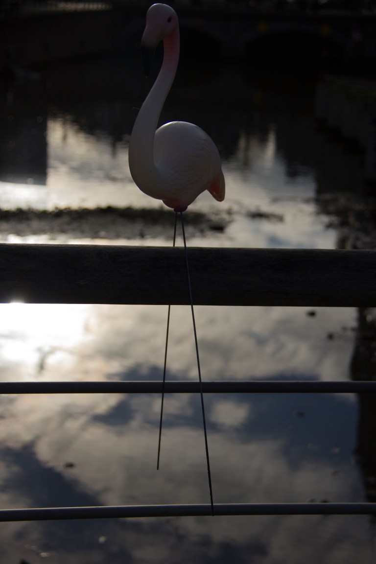 flamingo pink suicide bridge dark sad