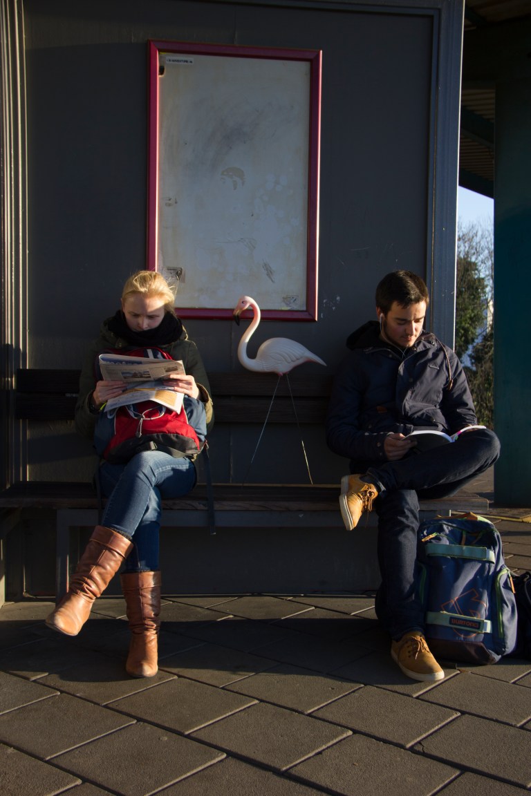 flamingo pink train station waiting Gent-Dampoort