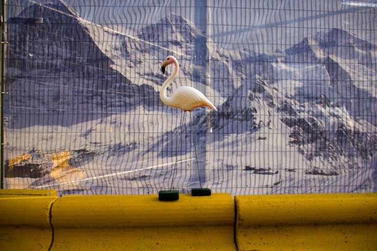 flamingo mountains ski holidays yellow pink blue