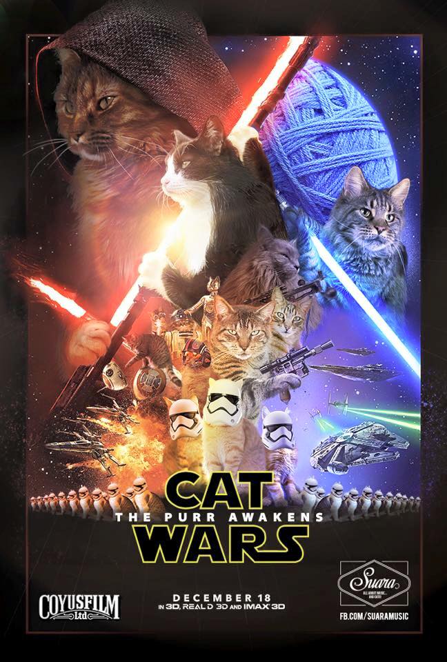 Star Wars The Force Awakens cat parody poster