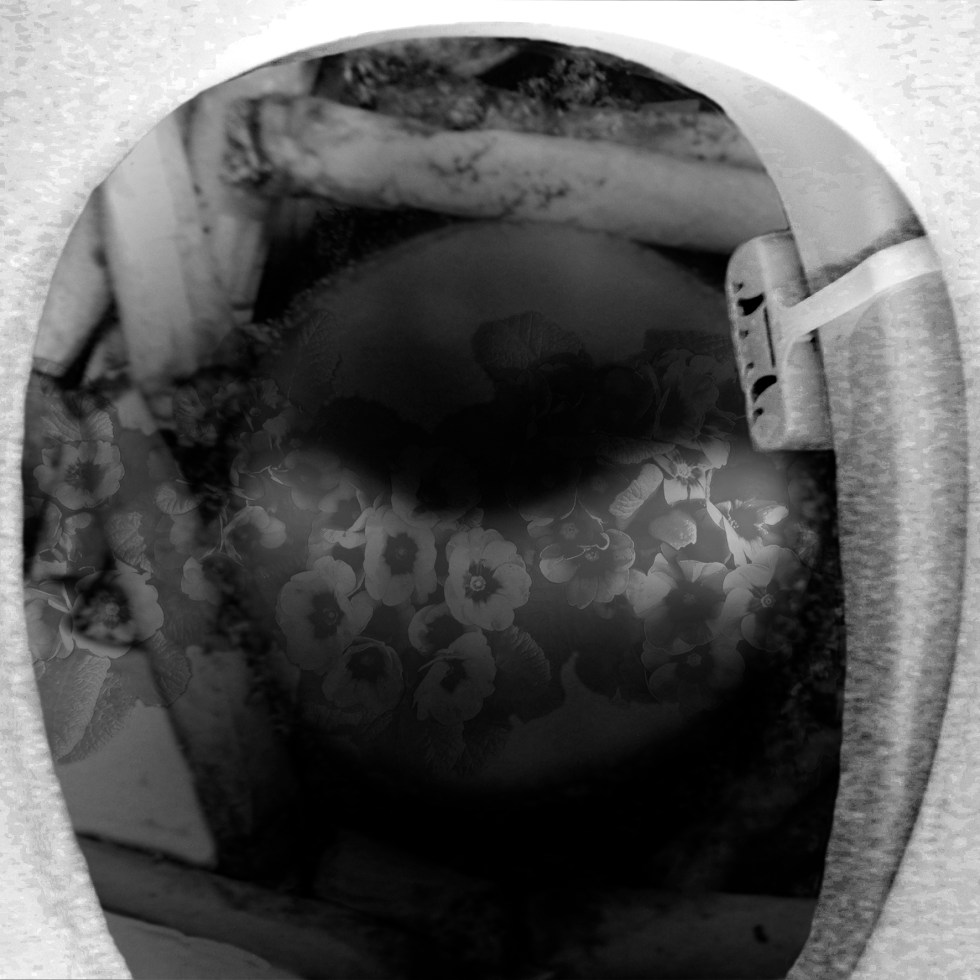 photography dark layers transparent pne-night stand toilet flowers cigarettes