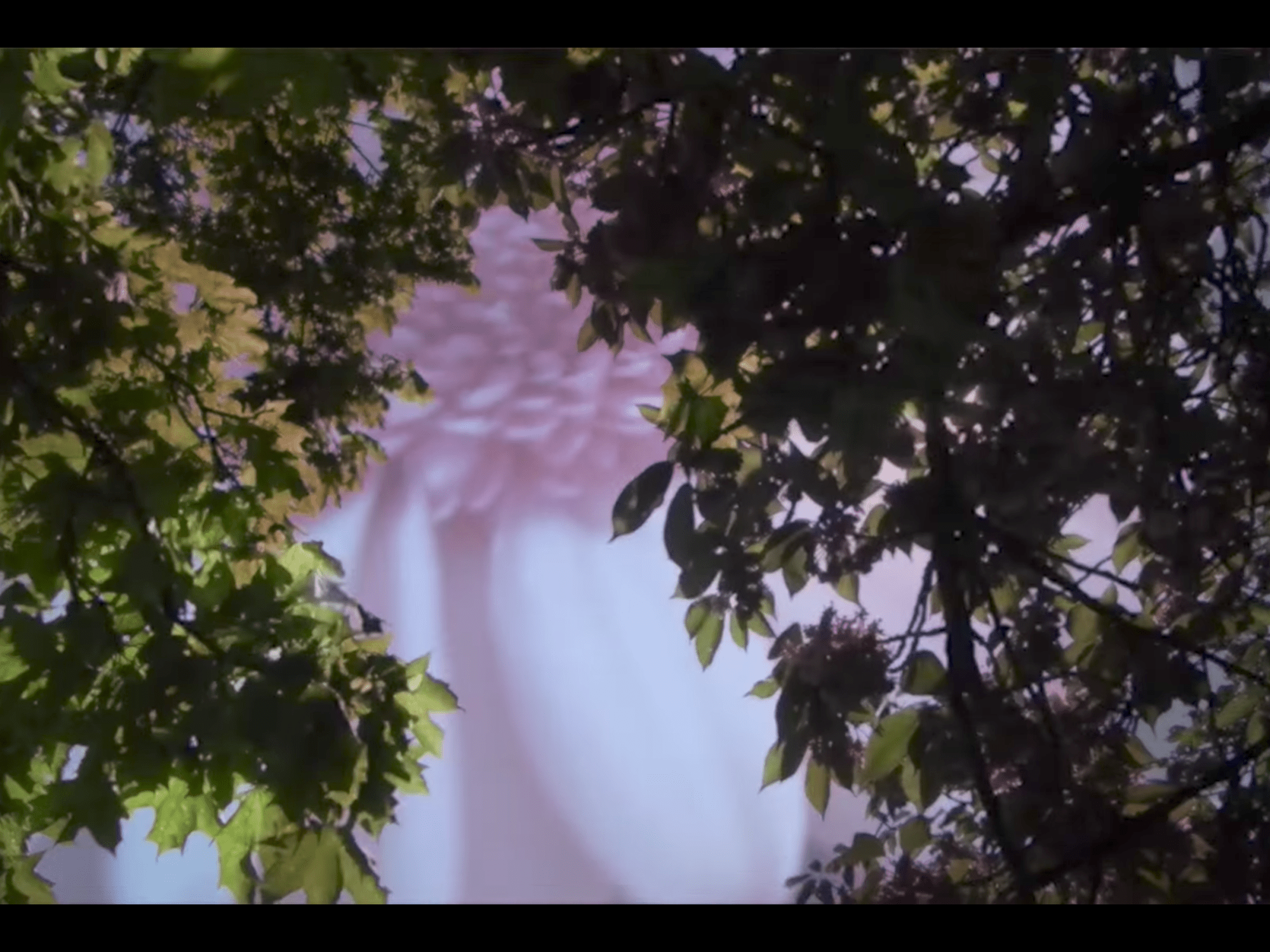 Spring Breeze movie overlap nature sun