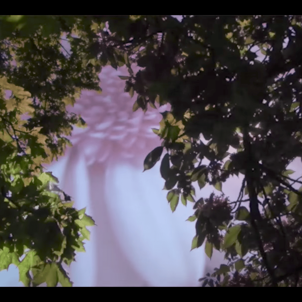 Spring Breeze movie overlap nature sun