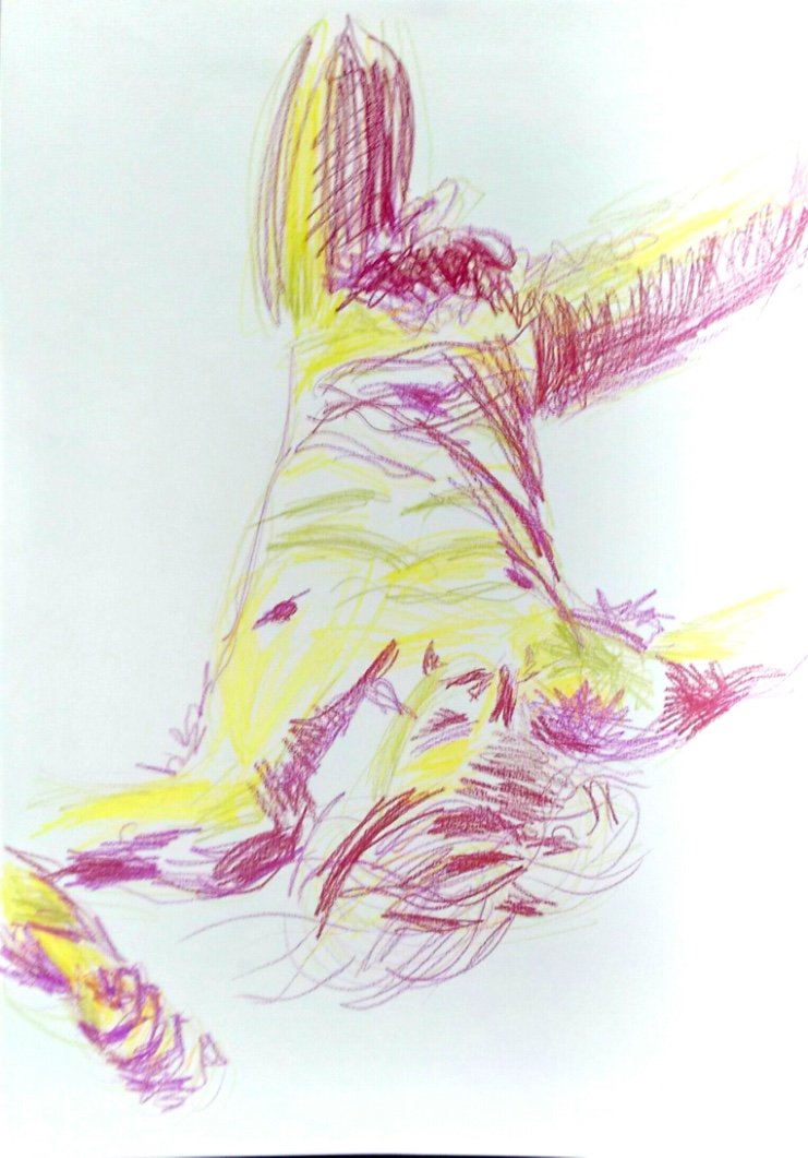 drawing color pencils nude man lying down