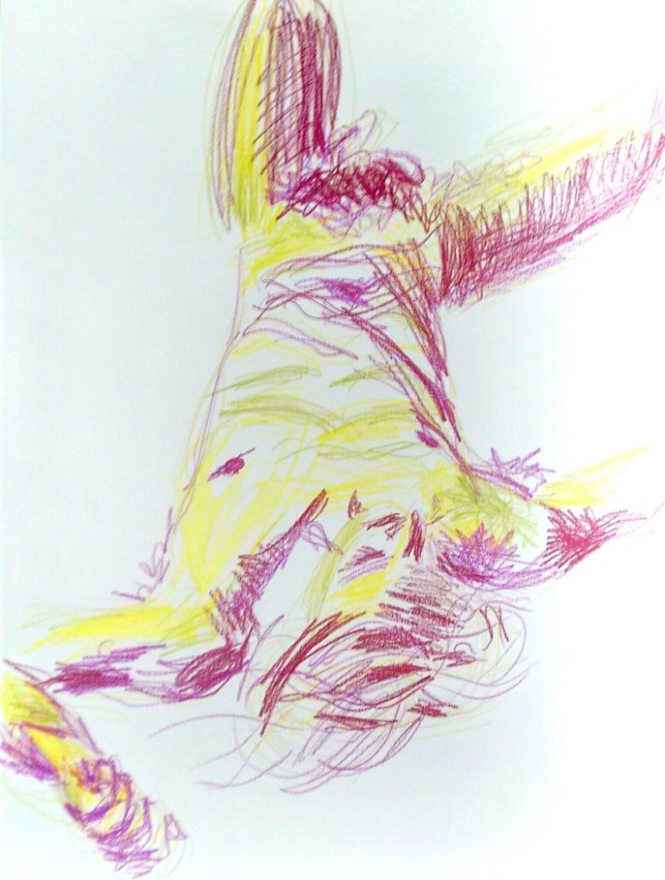 drawing color pencils nude man lying down