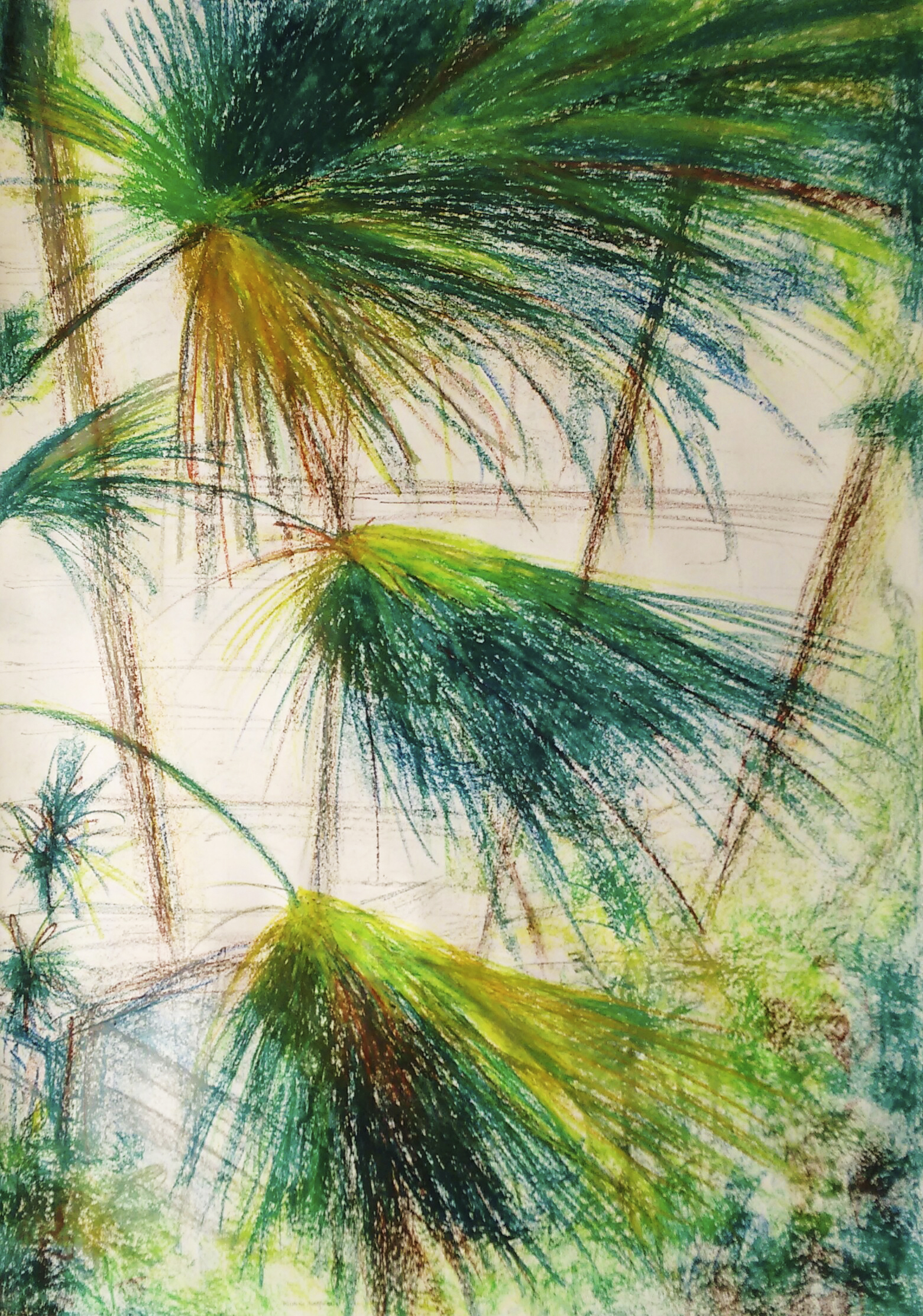 planten plantentuin botanische tuin tropische kas Gent tekening pandakrijt wasco vluchtlijnen compositie contrast kleur licht scherpte