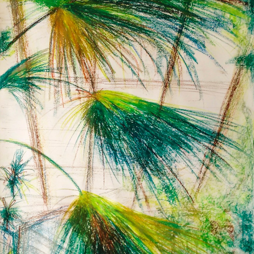 planten plantentuin botanische tuin tropische kas Gent tekening pandakrijt wasco vluchtlijnen compositie contrast kleur licht scherpte