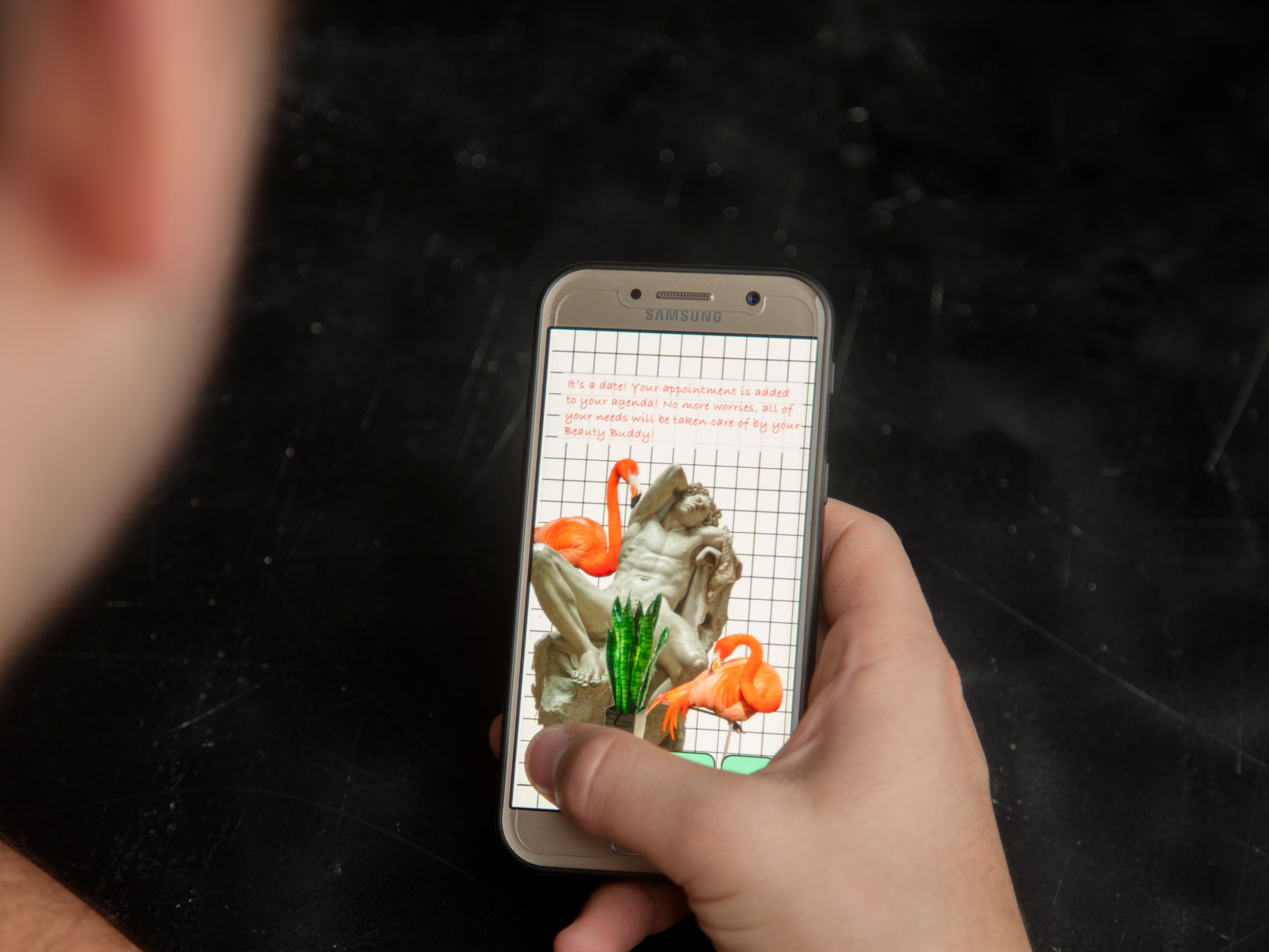 Beauty Buddy bevestigingsscherm app sekswerkers klusjes