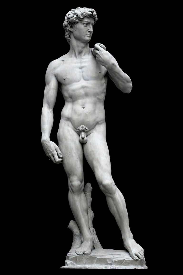 Michelangelo Buonarroti - David (1501-1504) Bijbel Goliath mannelijk naakt beeldhouwkunst