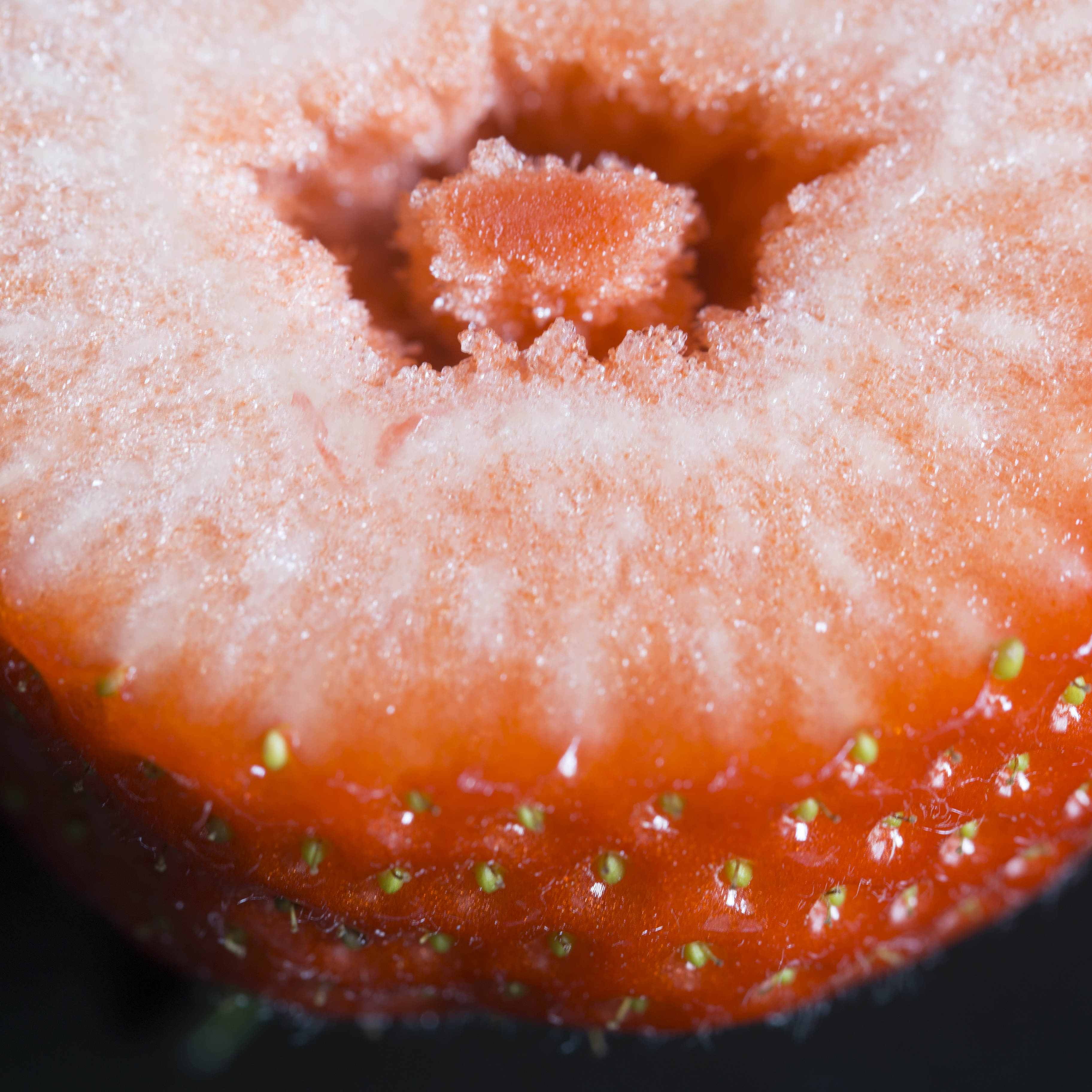 Aardbei studio fotografie textuur fruit macro close-up