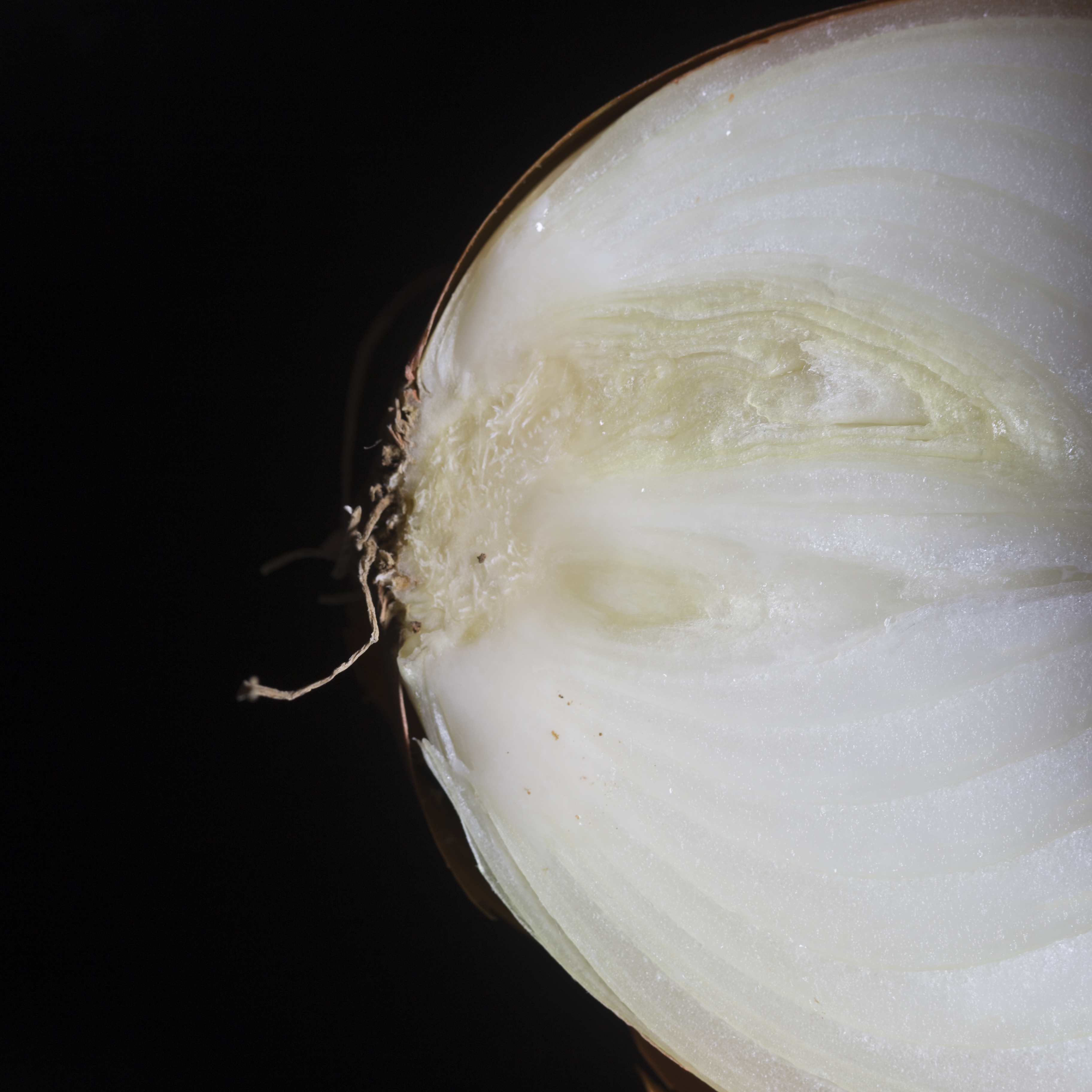 Ajuin studio fotografie textuur fruit macro close-up