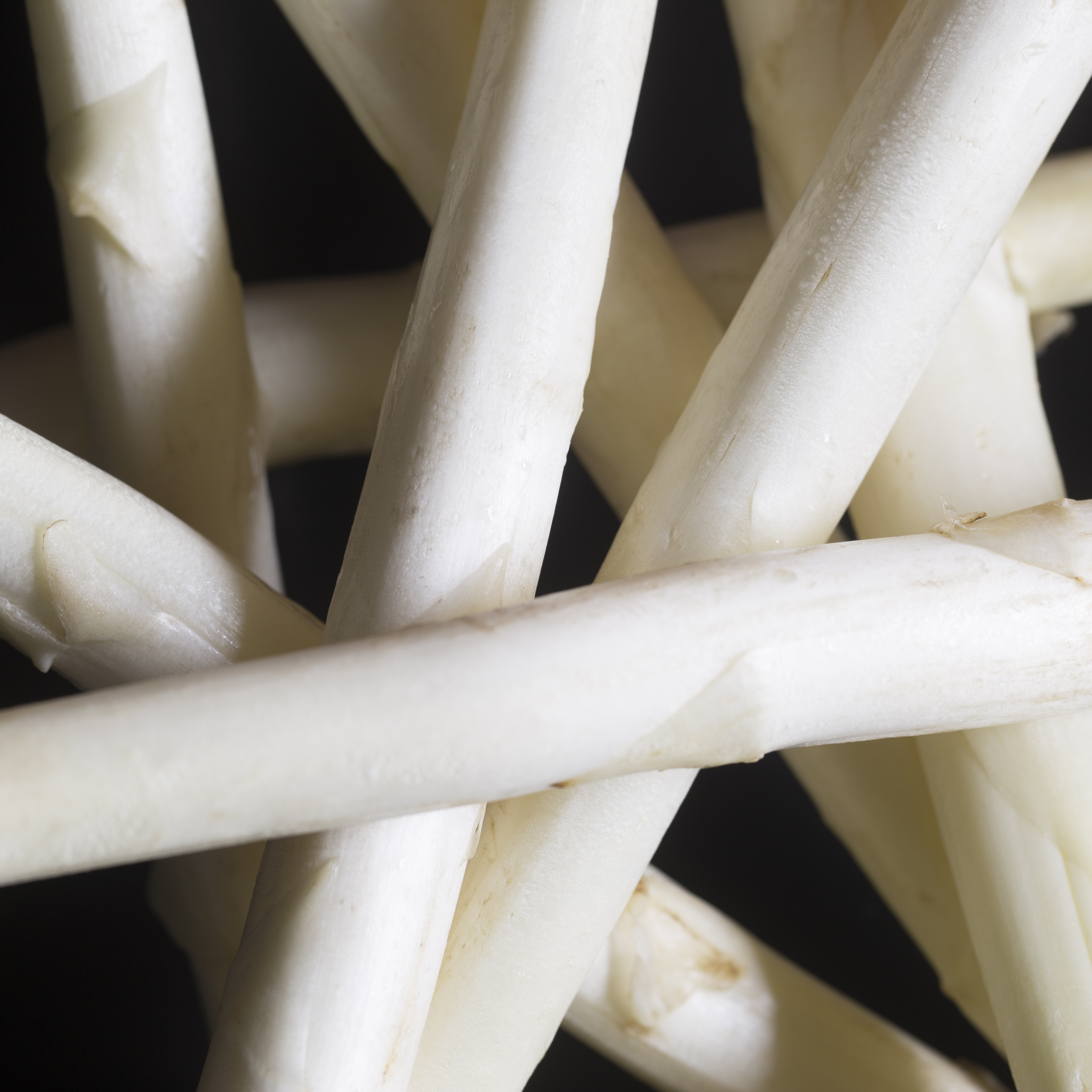 Asperge studio fotografie textuur fruit macro close-up