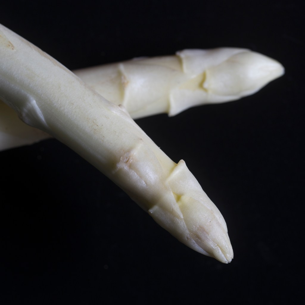 Asperge studio fotografie textuur fruit macro close-up