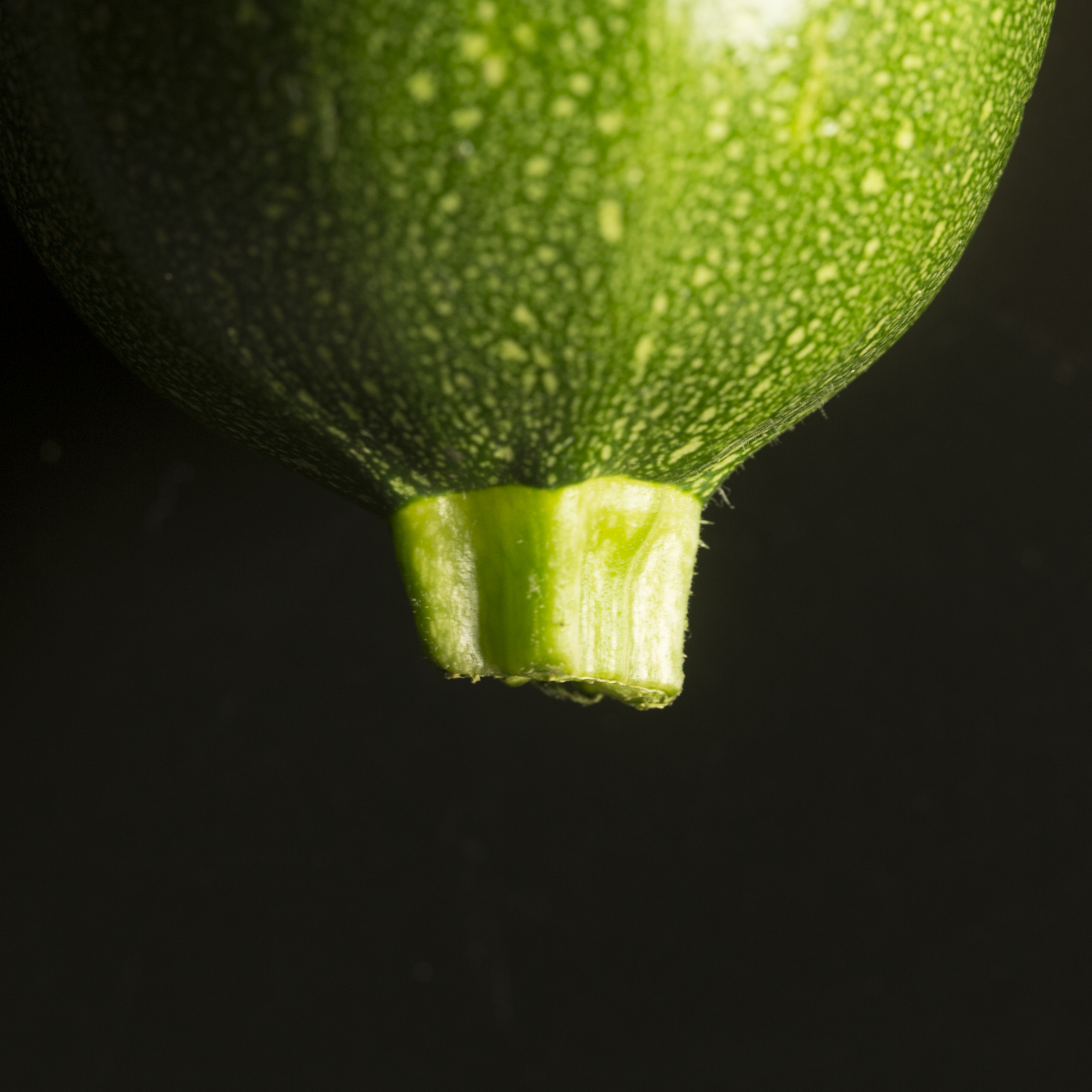 Courgette studio fotografie textuur fruit macro close-up