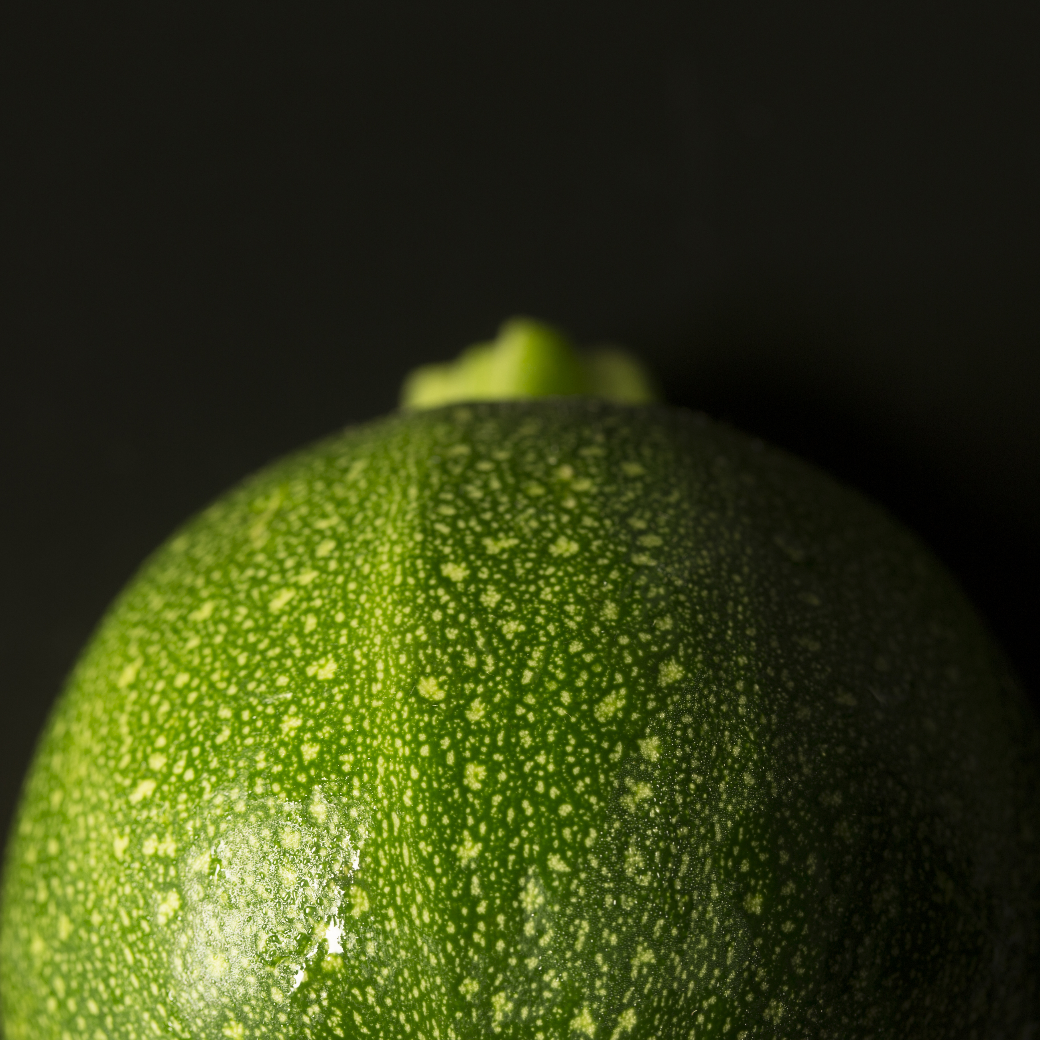Courgette studio fotografie textuur fruit macro close-up