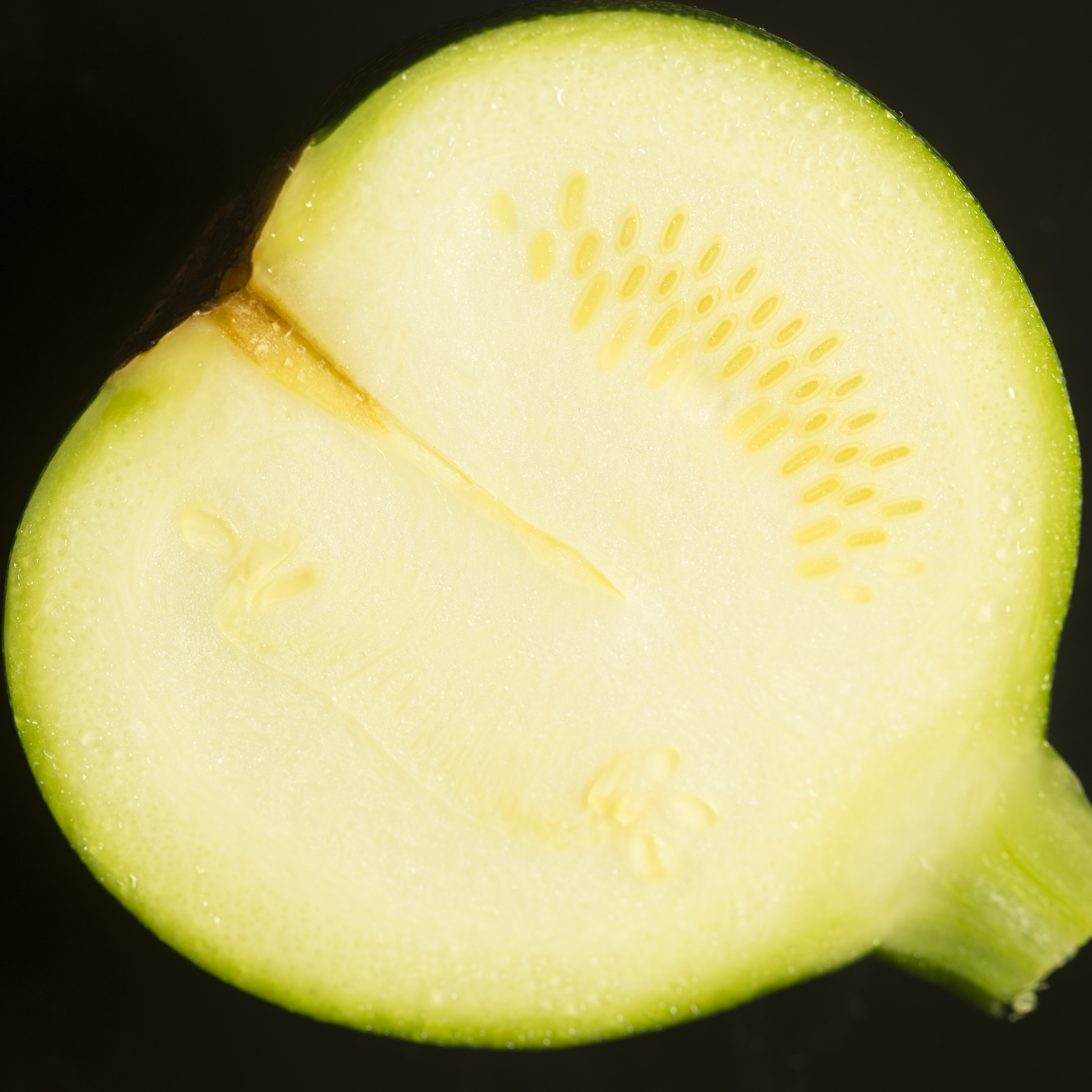 Courgette studio fotografie textuur fruit macro close-up