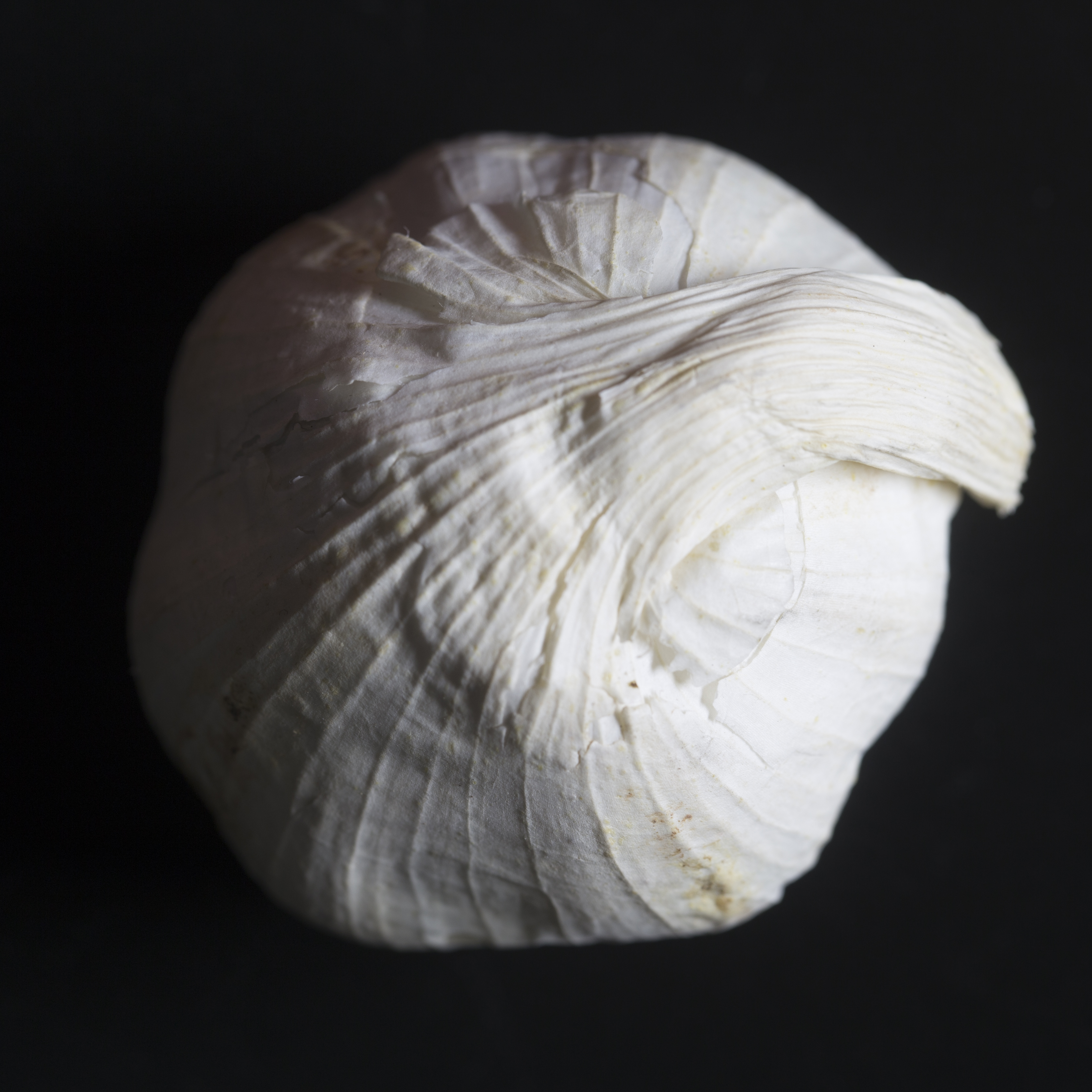 Look studio fotografie textuur fruit macro close-up