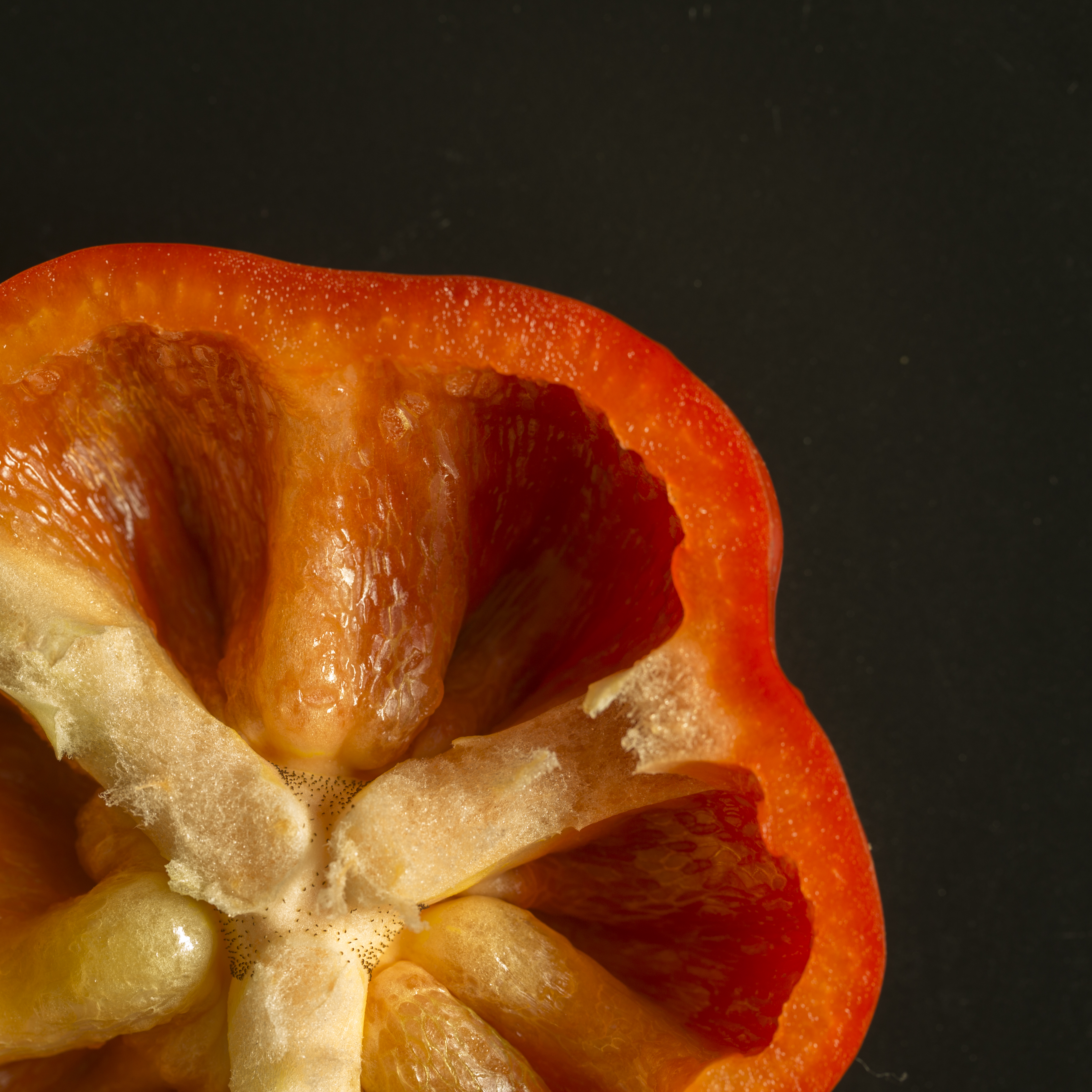 Paprika studio fotografie textuur fruit macro close-up
