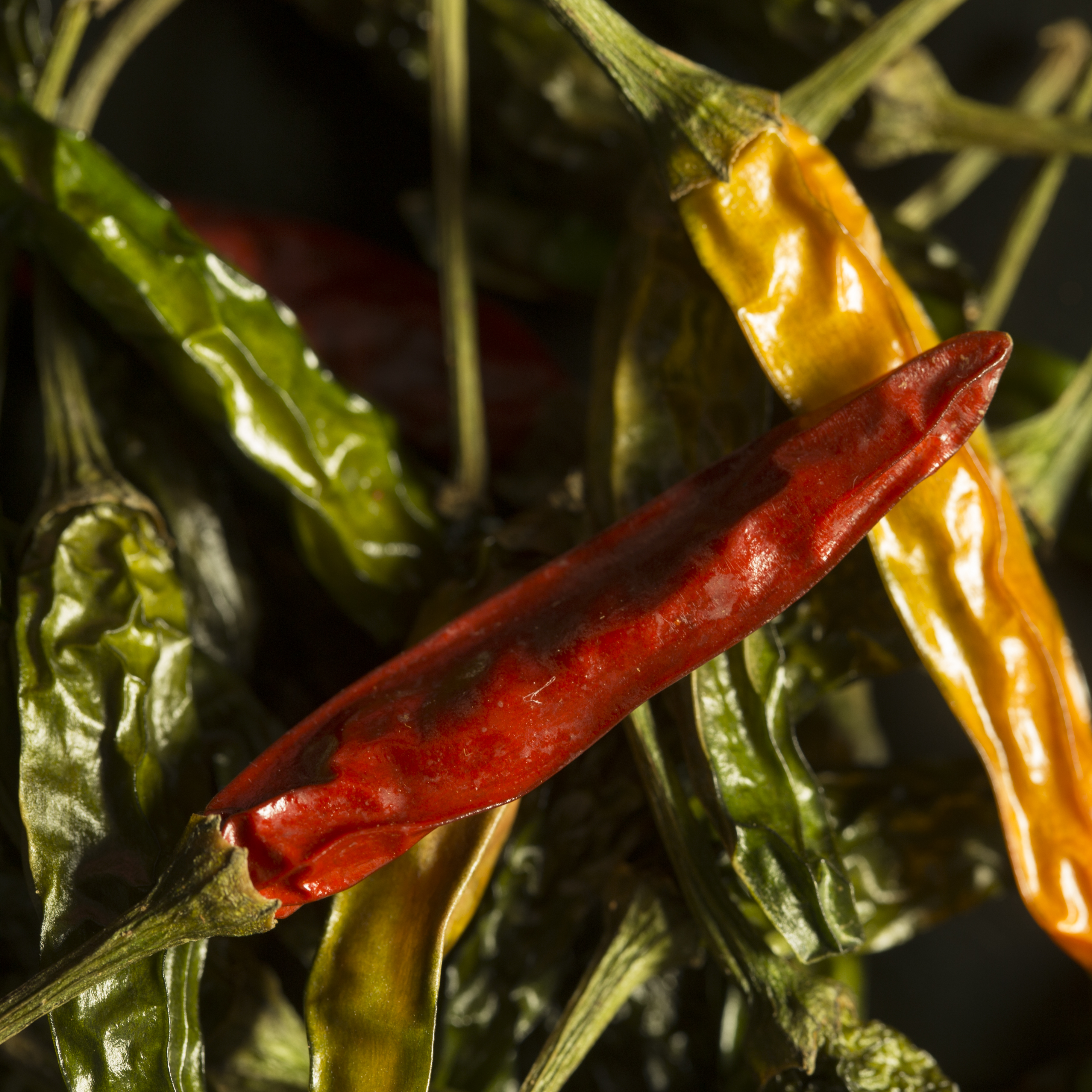 Chilipeper studio fotografie textuur fruit macro close-up