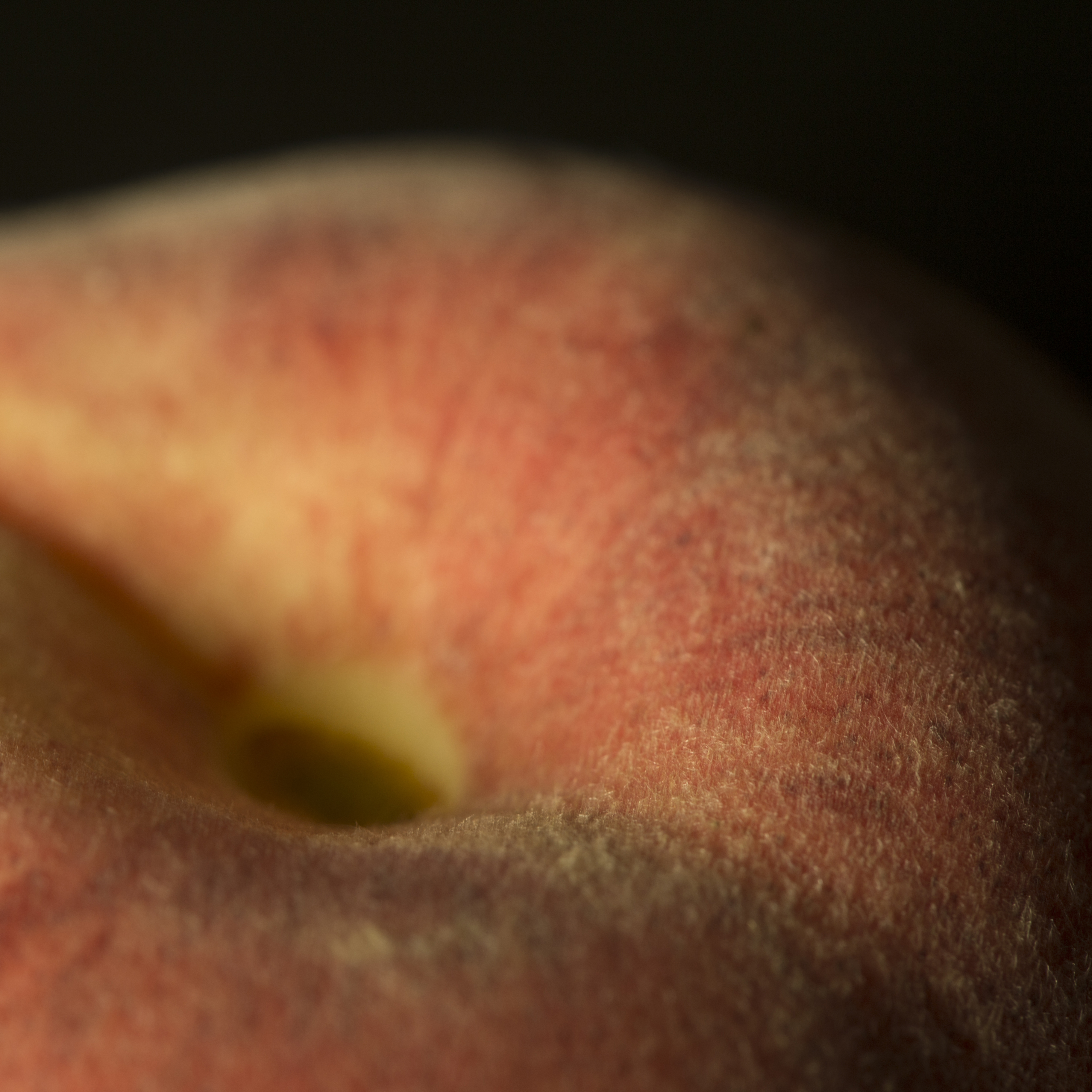 Perzik studio fotografie textuur fruit macro close-up