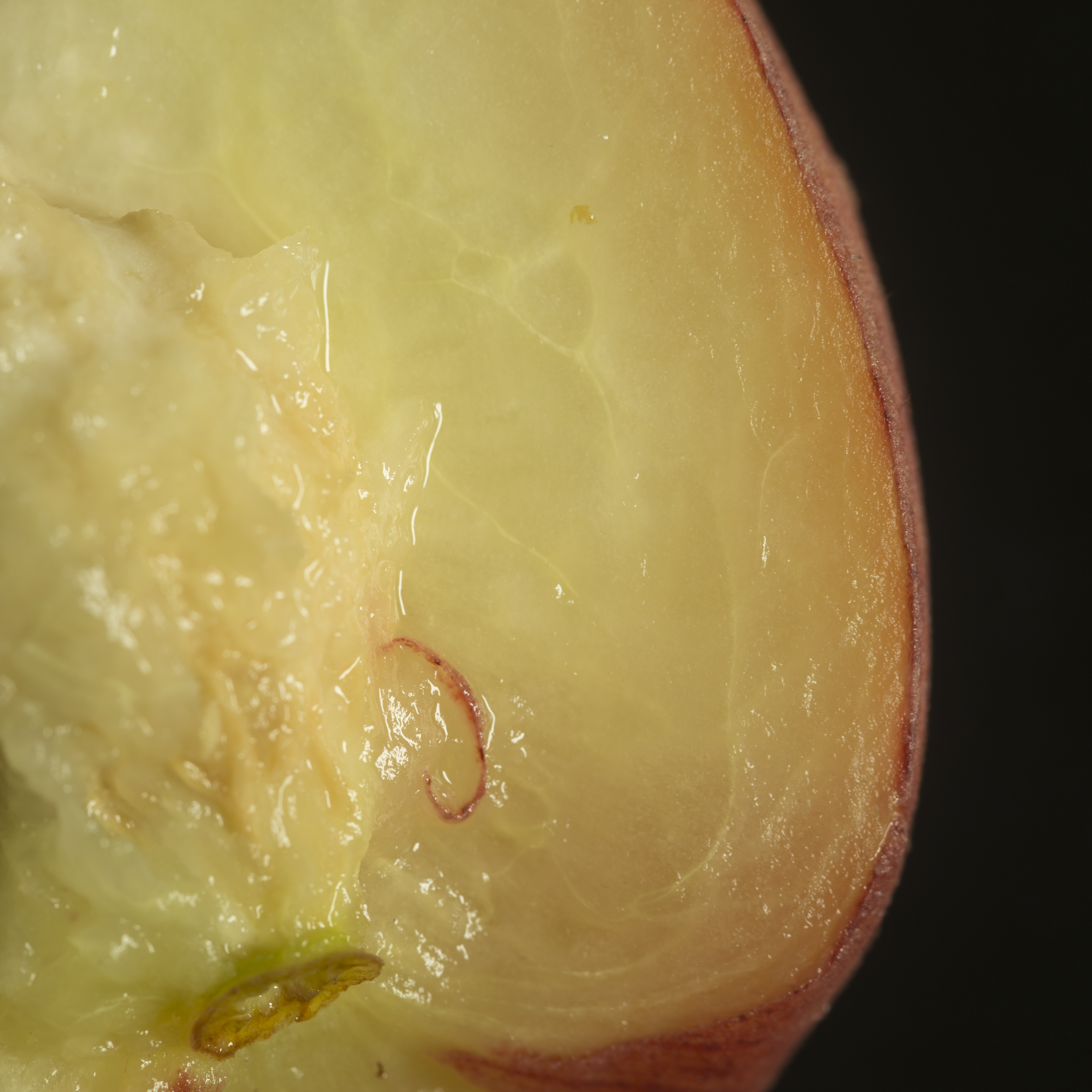 Perzik studio fotografie textuur fruit macro close-up