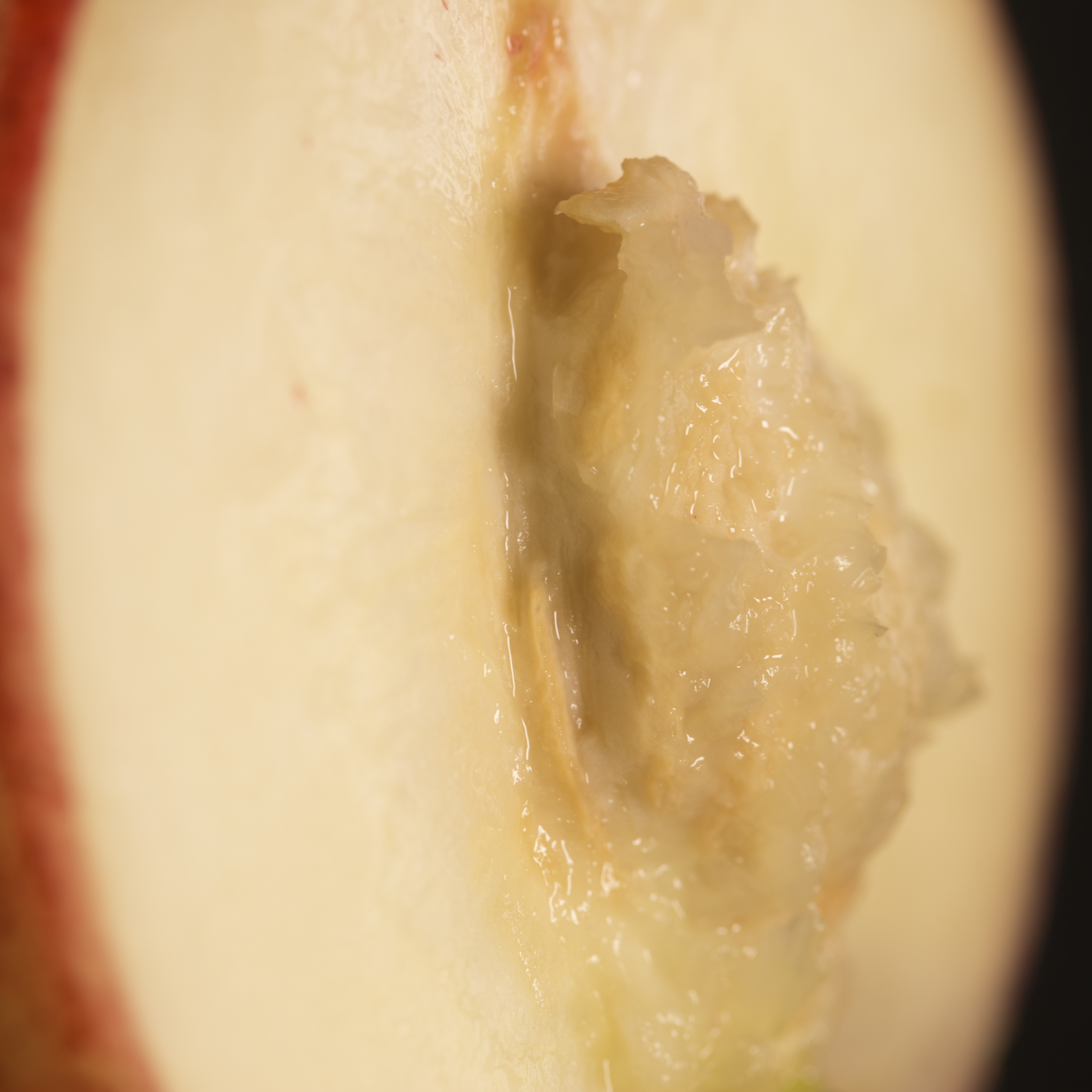 Perzik studio fotografie textuur fruit macro close-up