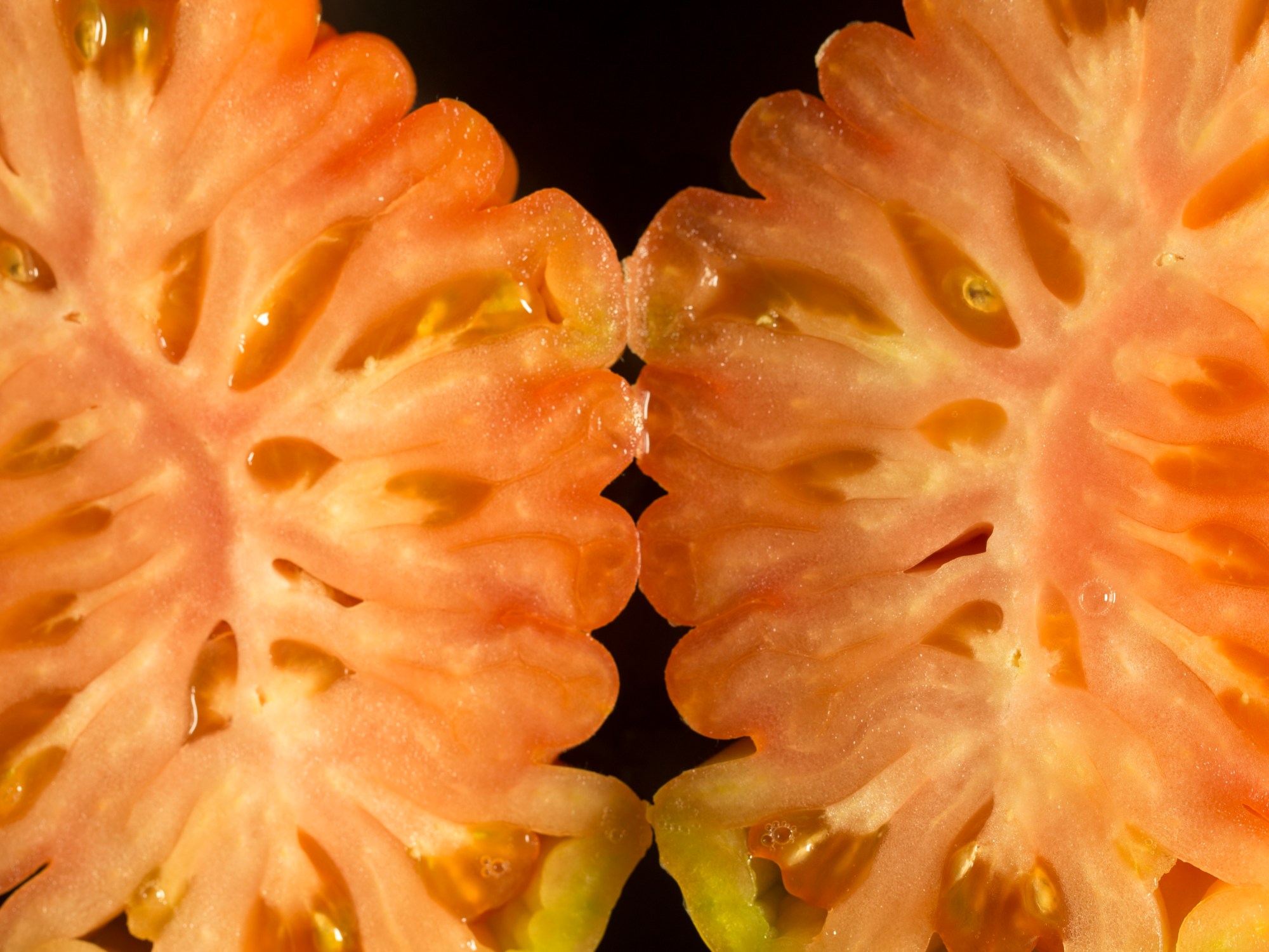 Tomaat studio fotografie textuur fruit macro close-up