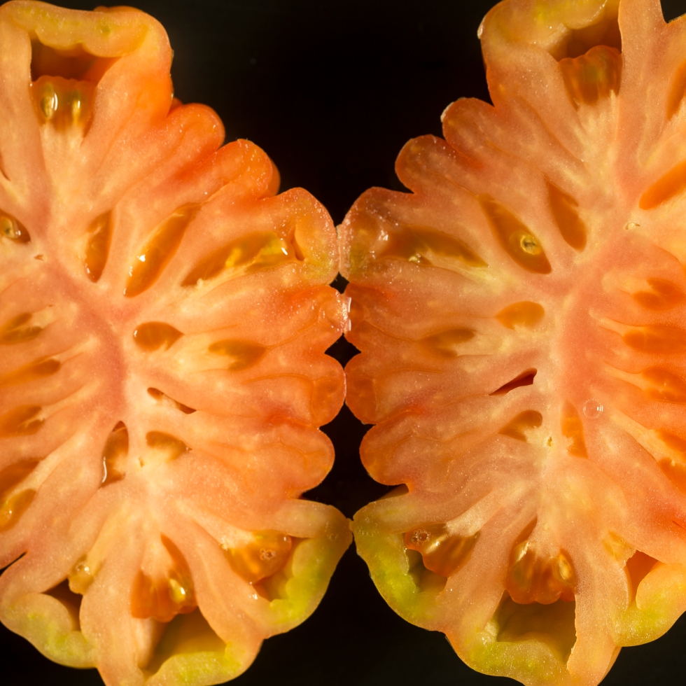 Tomaat studio fotografie textuur fruit macro close-up