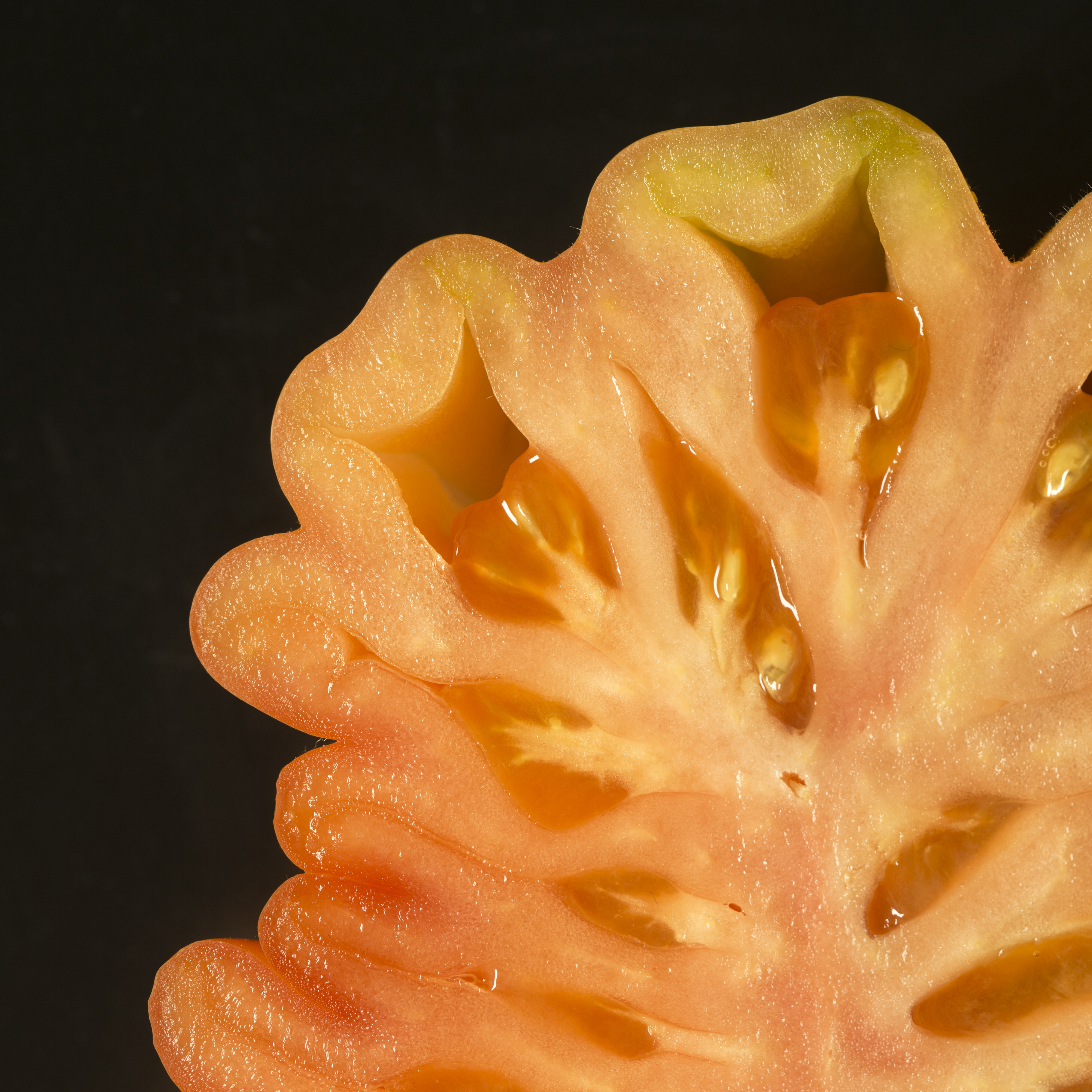 Tomaat studio fotografie textuur fruit macro close-up