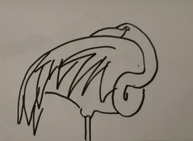 Flamingo schets character street art sketch drawing pose anatomy