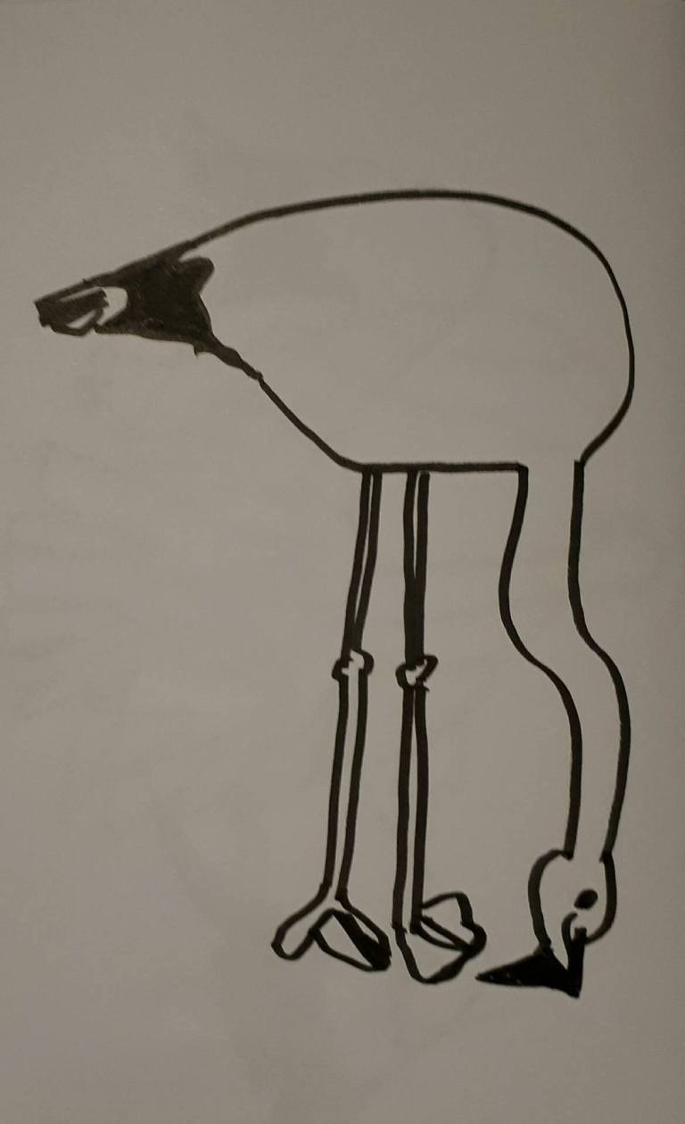 Flamingo schets character street art sketch drawing pose anatomy