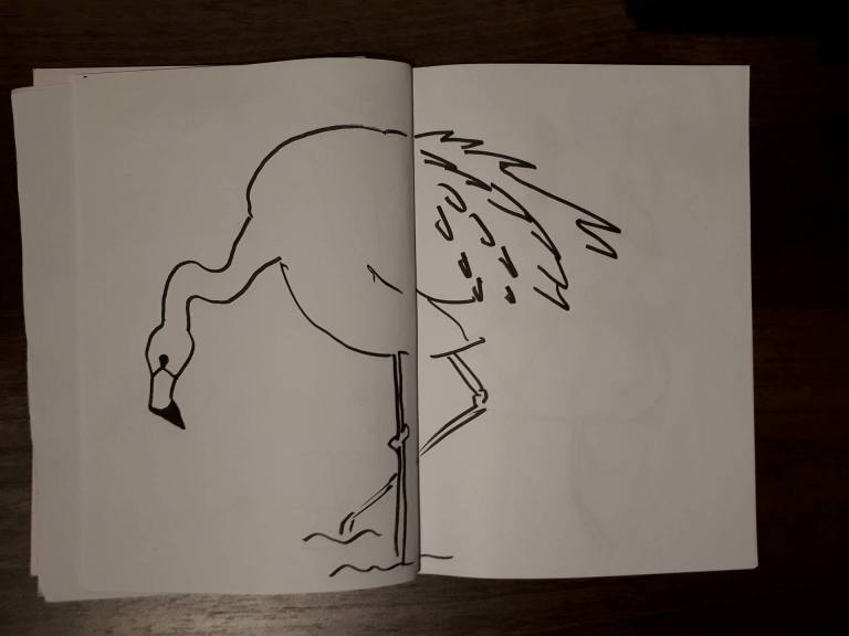 Flamingo schets character street art sketch drawing pose anatomy