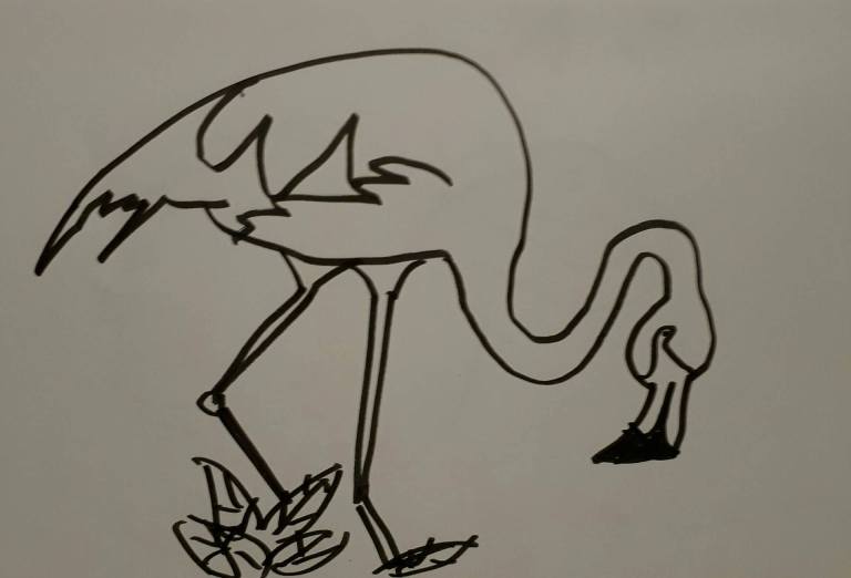 Flamingo schets sketch character street art pose anatomy