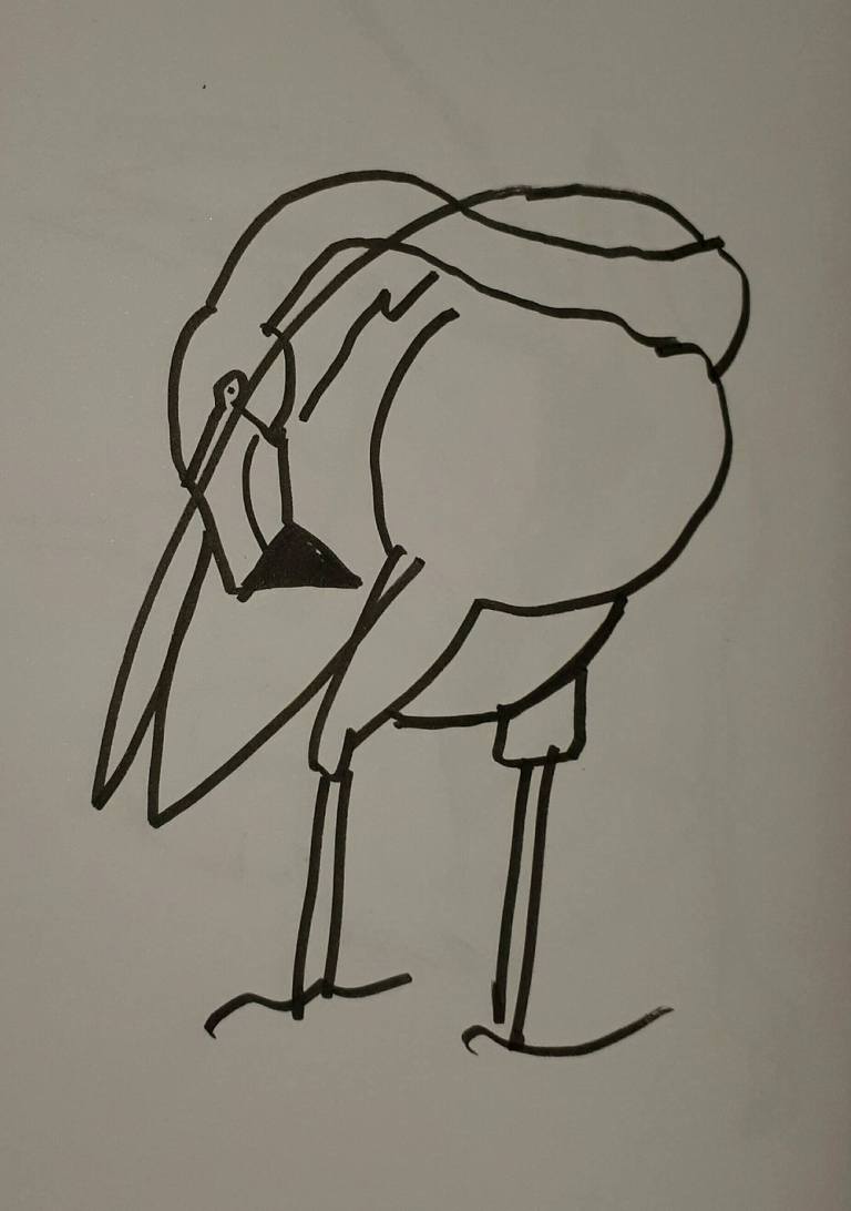 Flamingo schets sketch character street art pose anatomy
