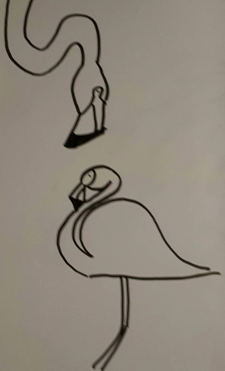Flamingo schets character street art sketch drawing pose anatomy
