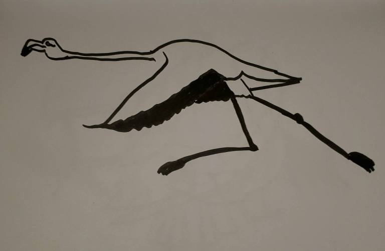 Flamingo schets character street art sketch drawing pose anatomy