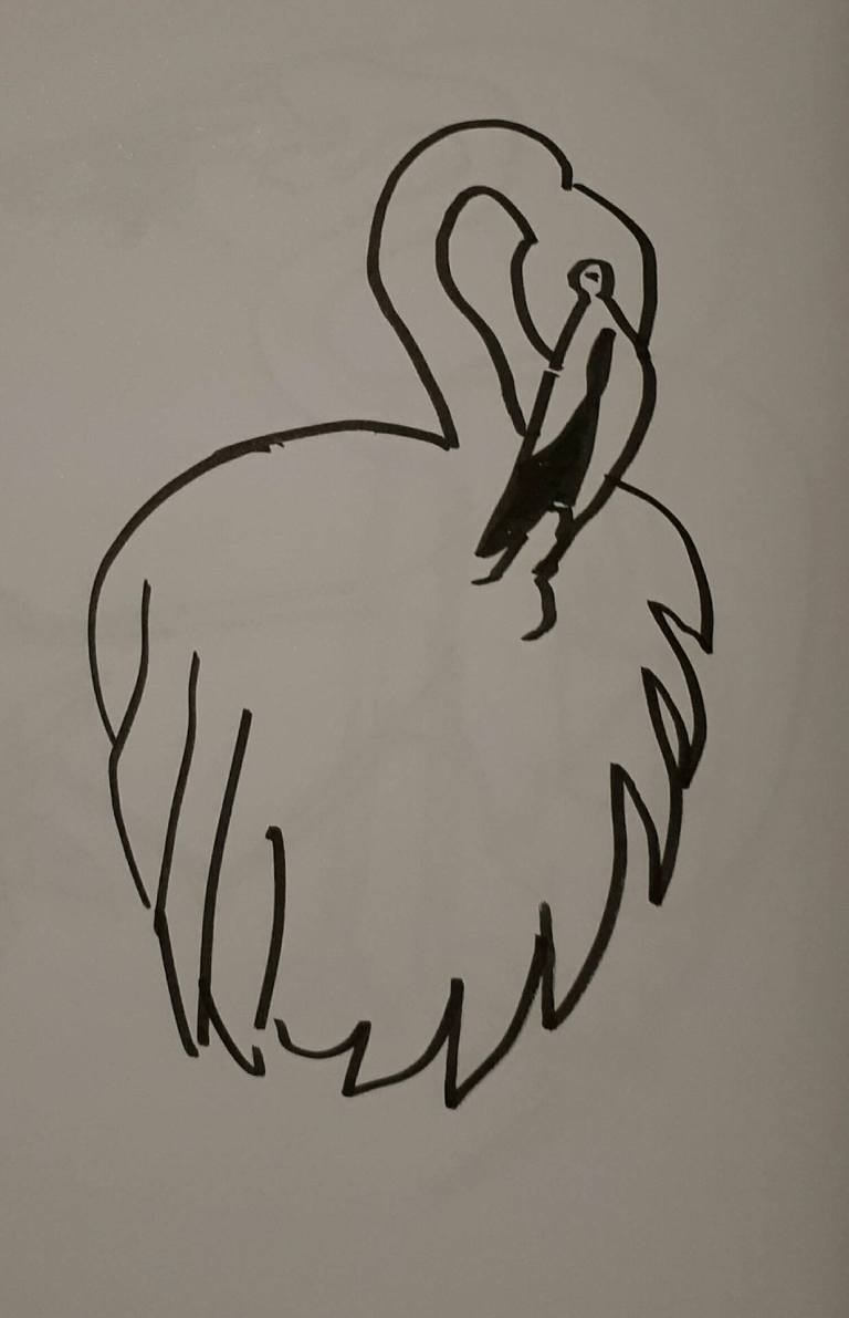 Flamingo schets character street art sketch drawing pose anatomy