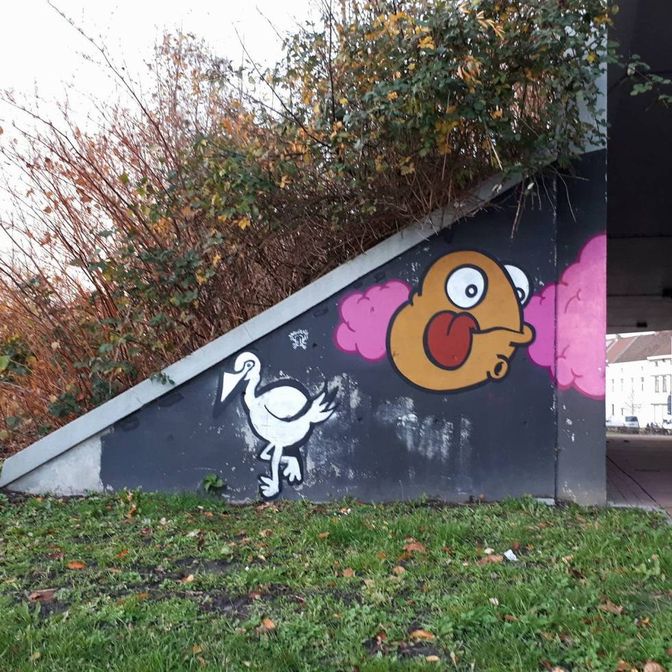 Silver Flamin'O & around wall mural tunnel train graffiti street art Gent Gentbrugge