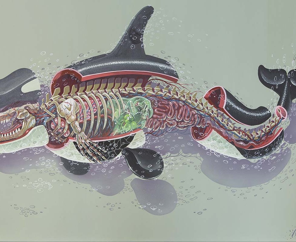 Nychos - Dissection of an Orca (2015) street art character The Weird crew