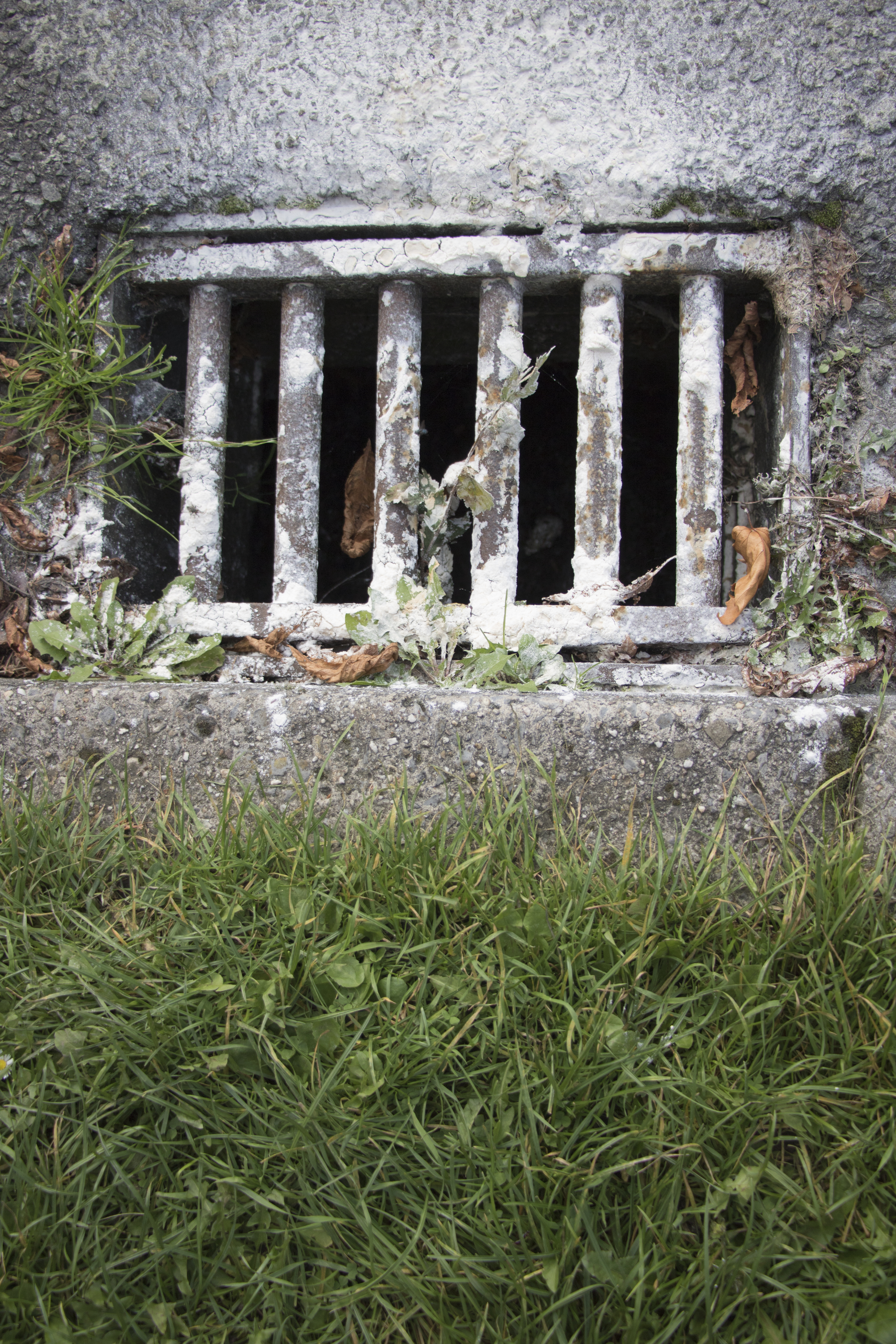 Lelijkheid fotografie workshop Overpoort Gent The Photographic I - Other Pictures S.M.A.K. BILL