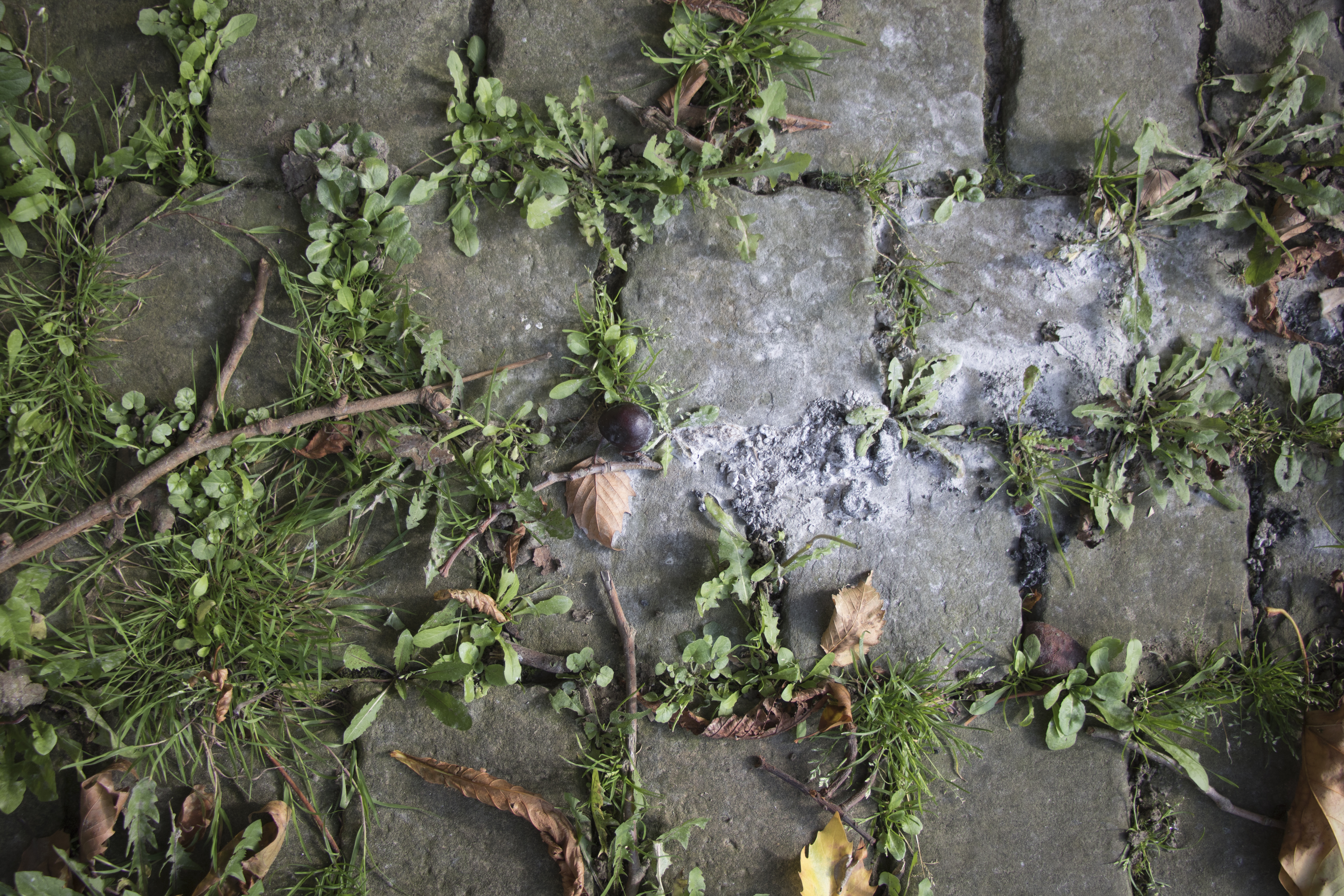 Lelijkheid fotografie workshop Overpoort Gent The Photographic I - Other Pictures S.M.A.K. BILL