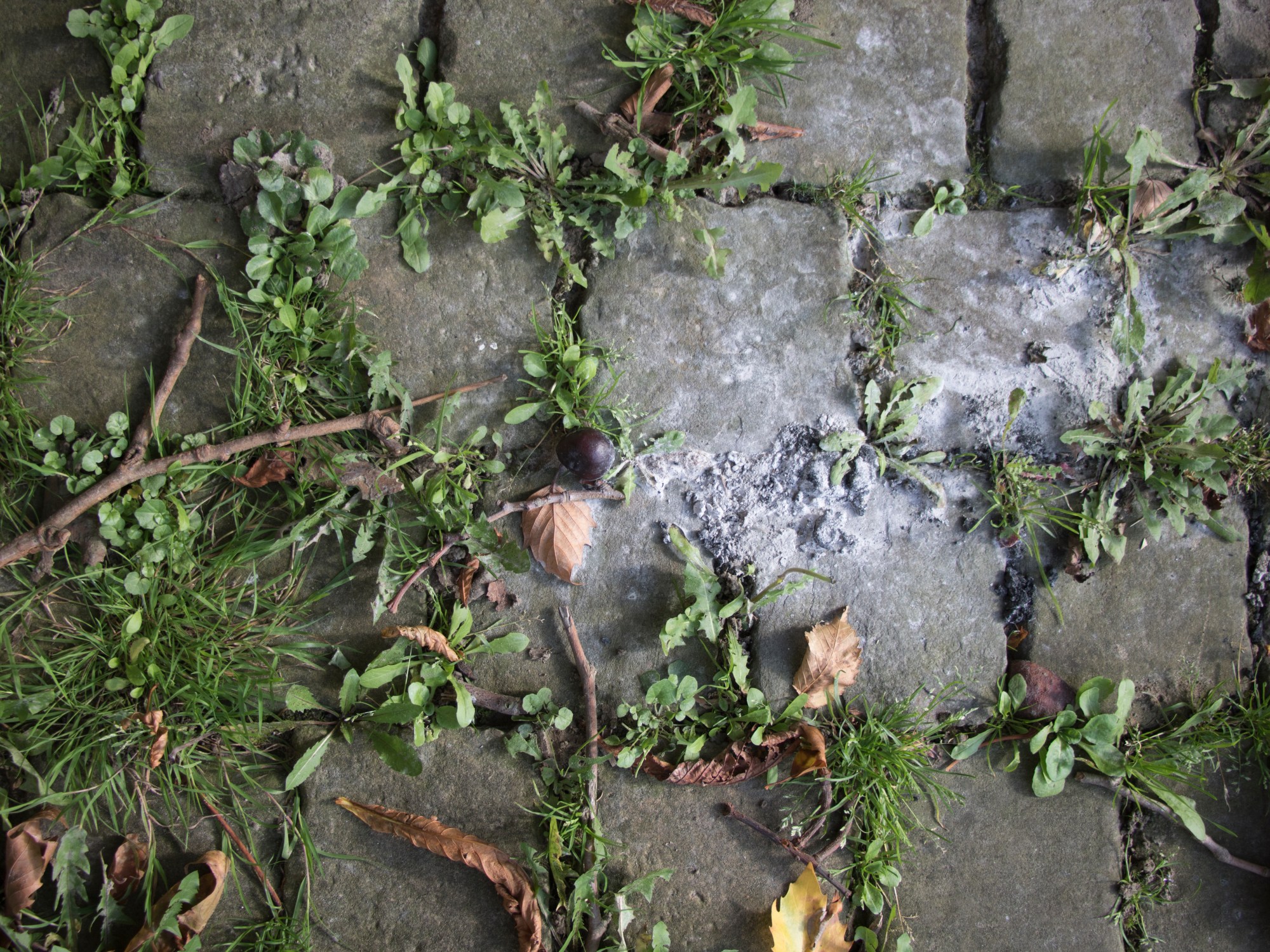 Lelijkheid fotografie workshop Overpoort Gent The Photographic I - Other Pictures S.M.A.K. BILL