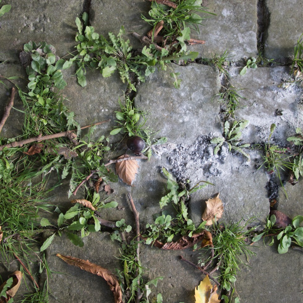 Lelijkheid fotografie workshop Overpoort Gent The Photographic I - Other Pictures S.M.A.K. BILL