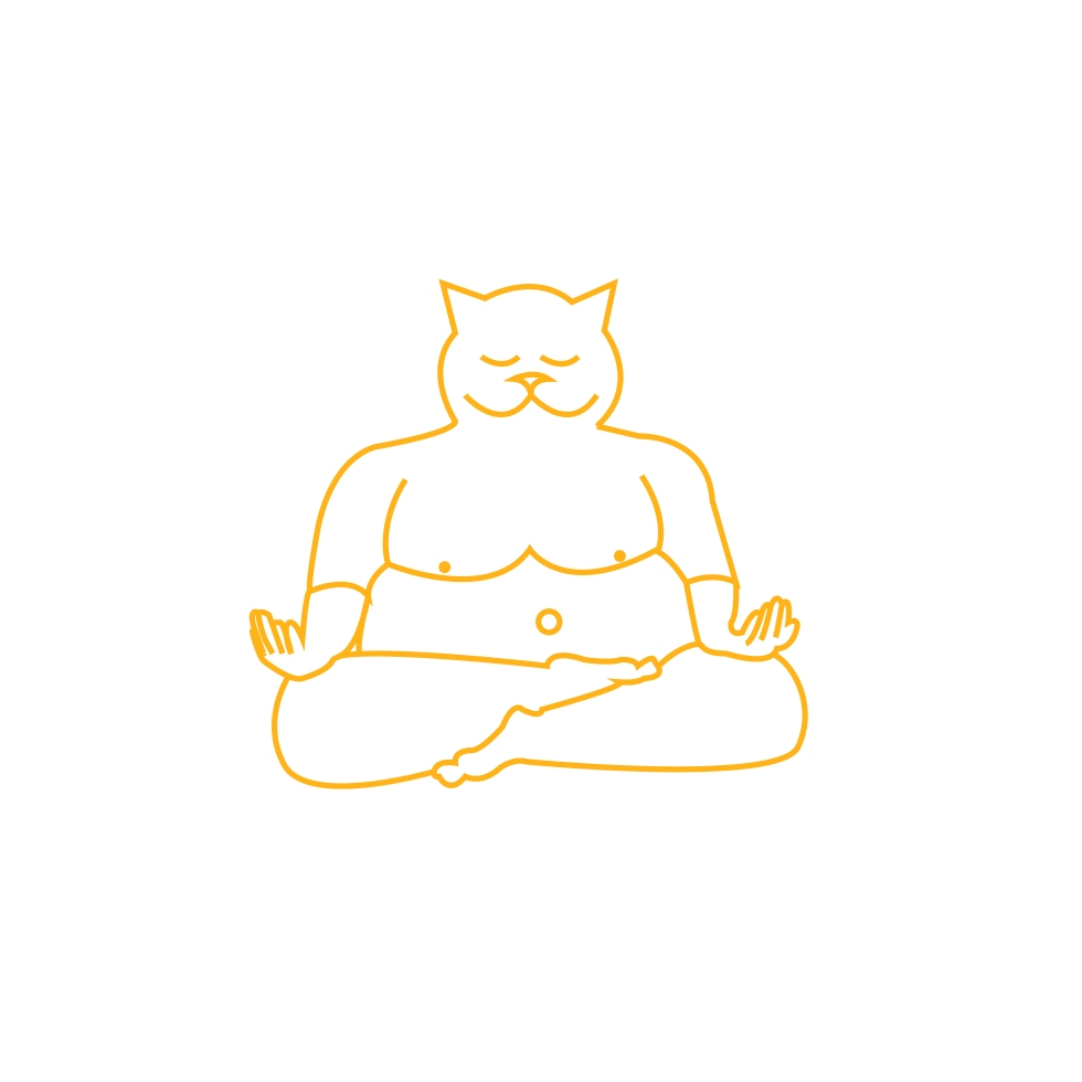 Buddha Cat new religion Crazy Cat Lady app design social media platform International Cat Day