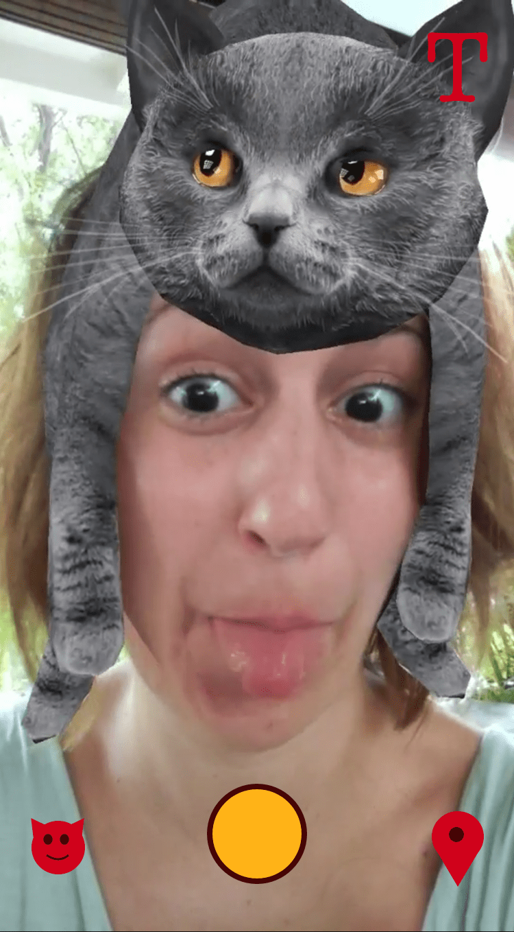 Upload Content - During app design social media platform crazy cat lady new religion International Cat Day