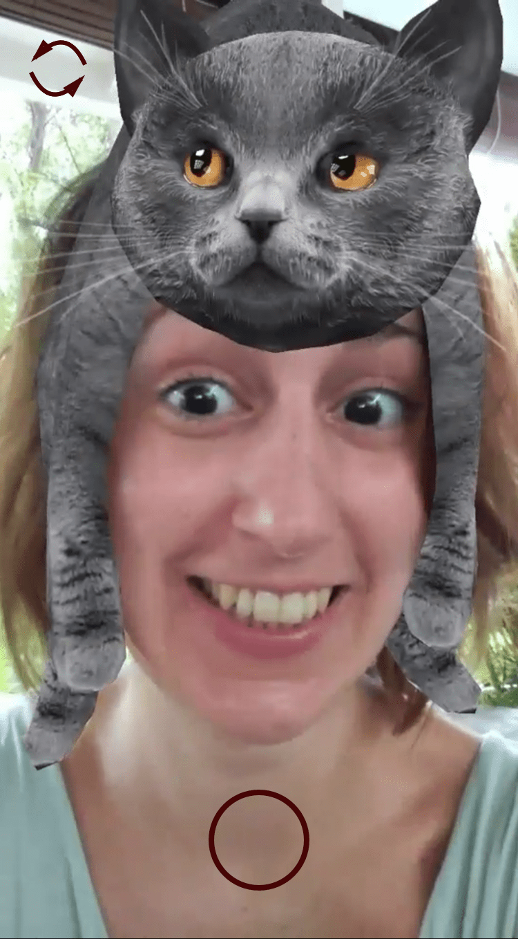 Upload Content app design social media platform crazy cat lady new religion International Cat Day