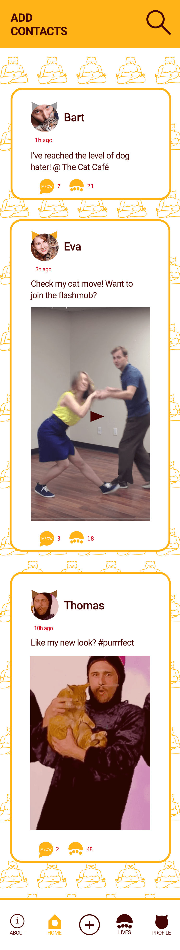 Newsfeed app design social media platform crazy cat lady new religion