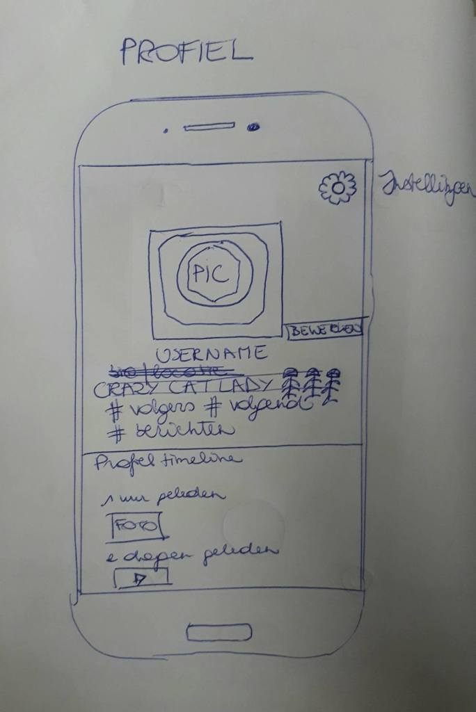 Wireframes Profile app design crazy cat lady new religion social media platform
